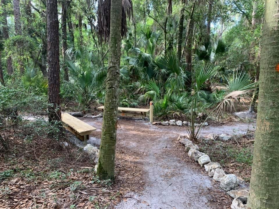 3829 SPRUCE PINE DR, VALRICO, FL, 33596