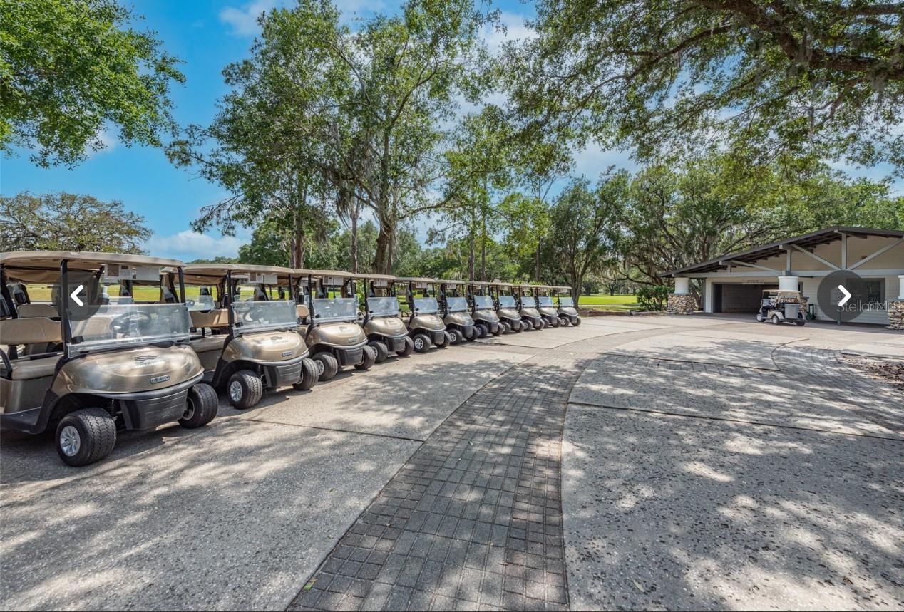 3829 SPRUCE PINE DR, VALRICO, FL, 33596