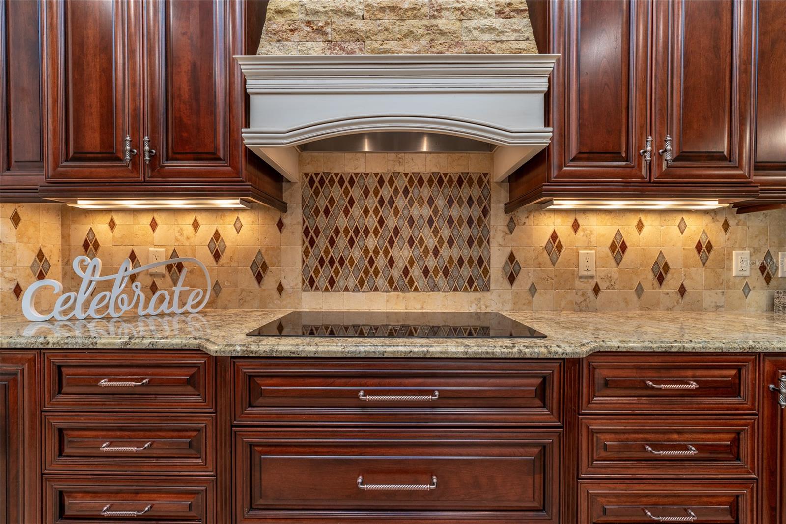 3829 SPRUCE PINE DR, VALRICO, FL, 33596