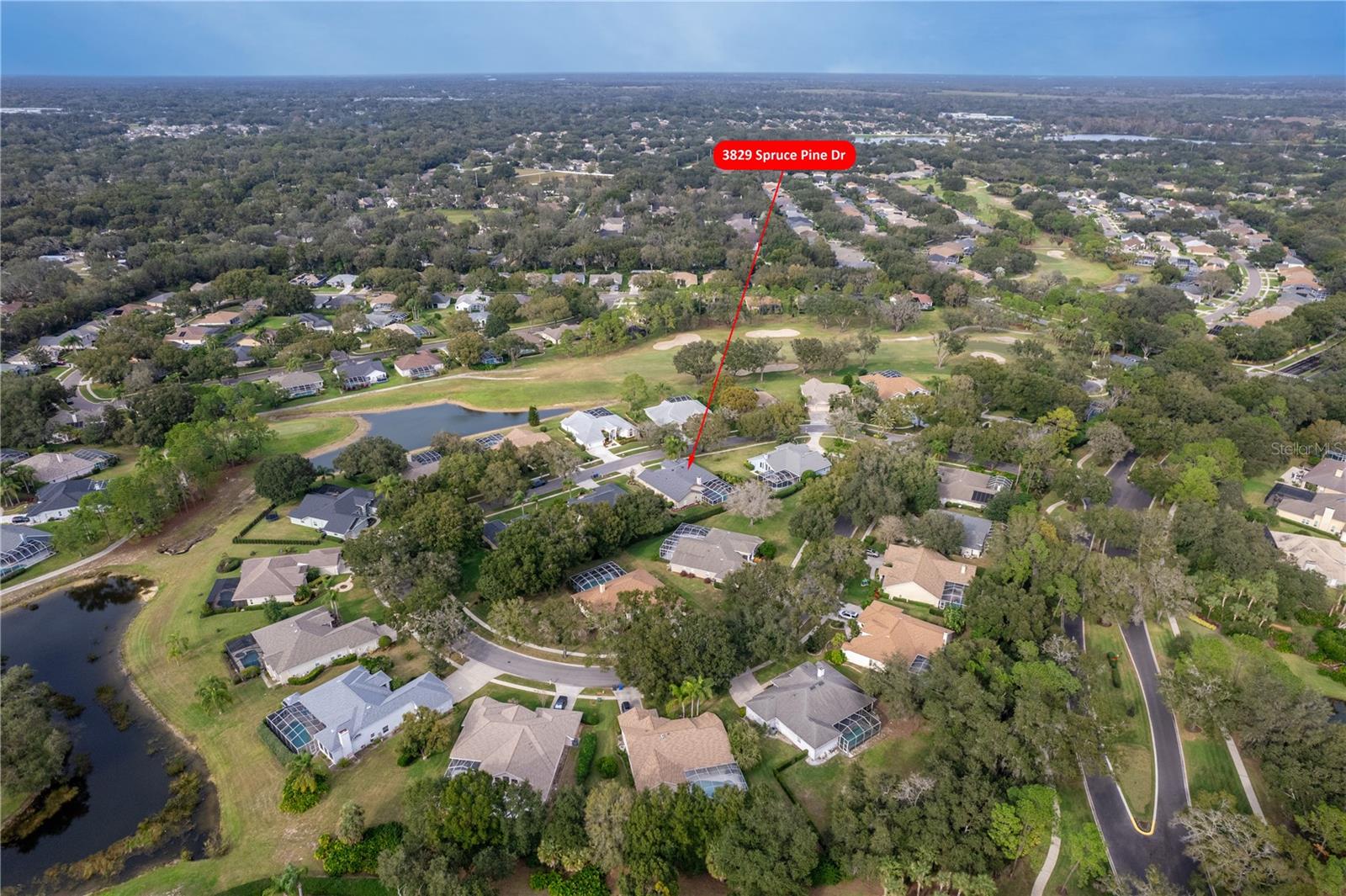 3829 SPRUCE PINE DR, VALRICO, FL, 33596