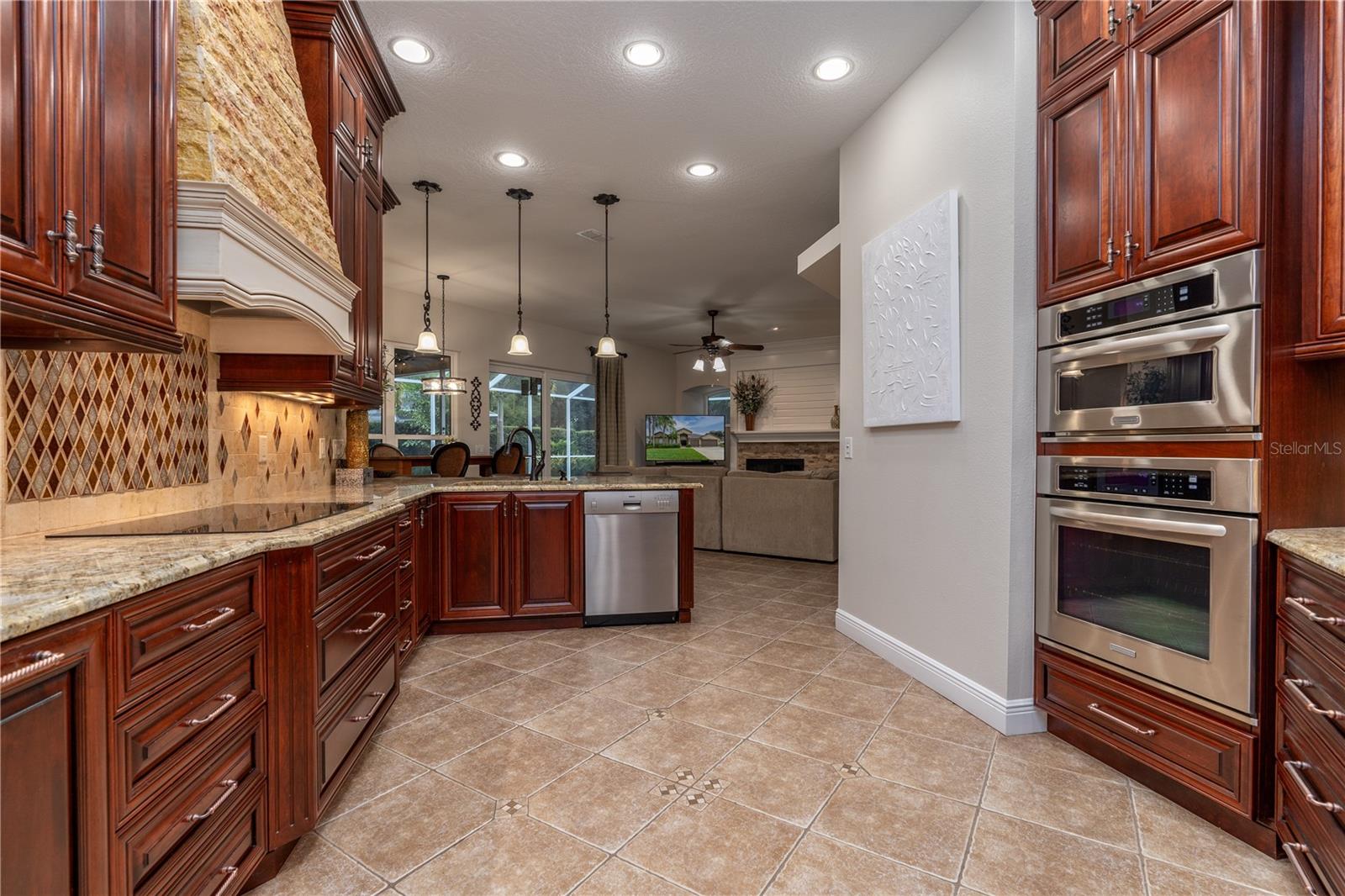 3829 SPRUCE PINE DR, VALRICO, FL, 33596