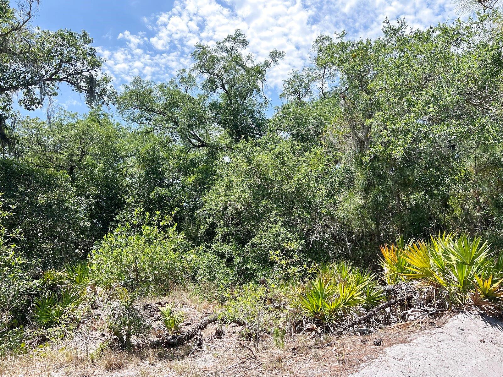 HAMER TER, NORTH PORT, FL, 34291