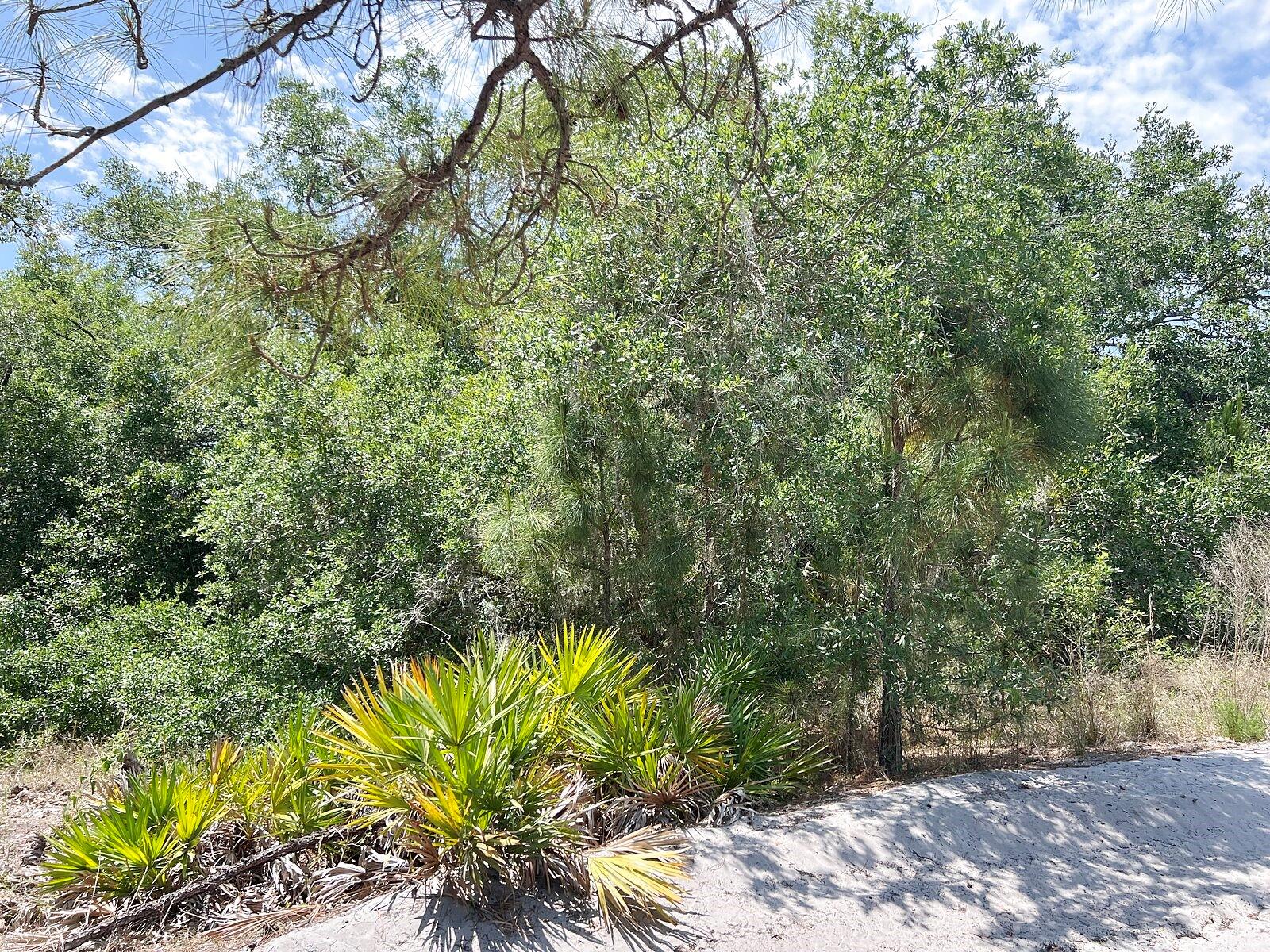 HAMER TER, NORTH PORT, FL, 34291
