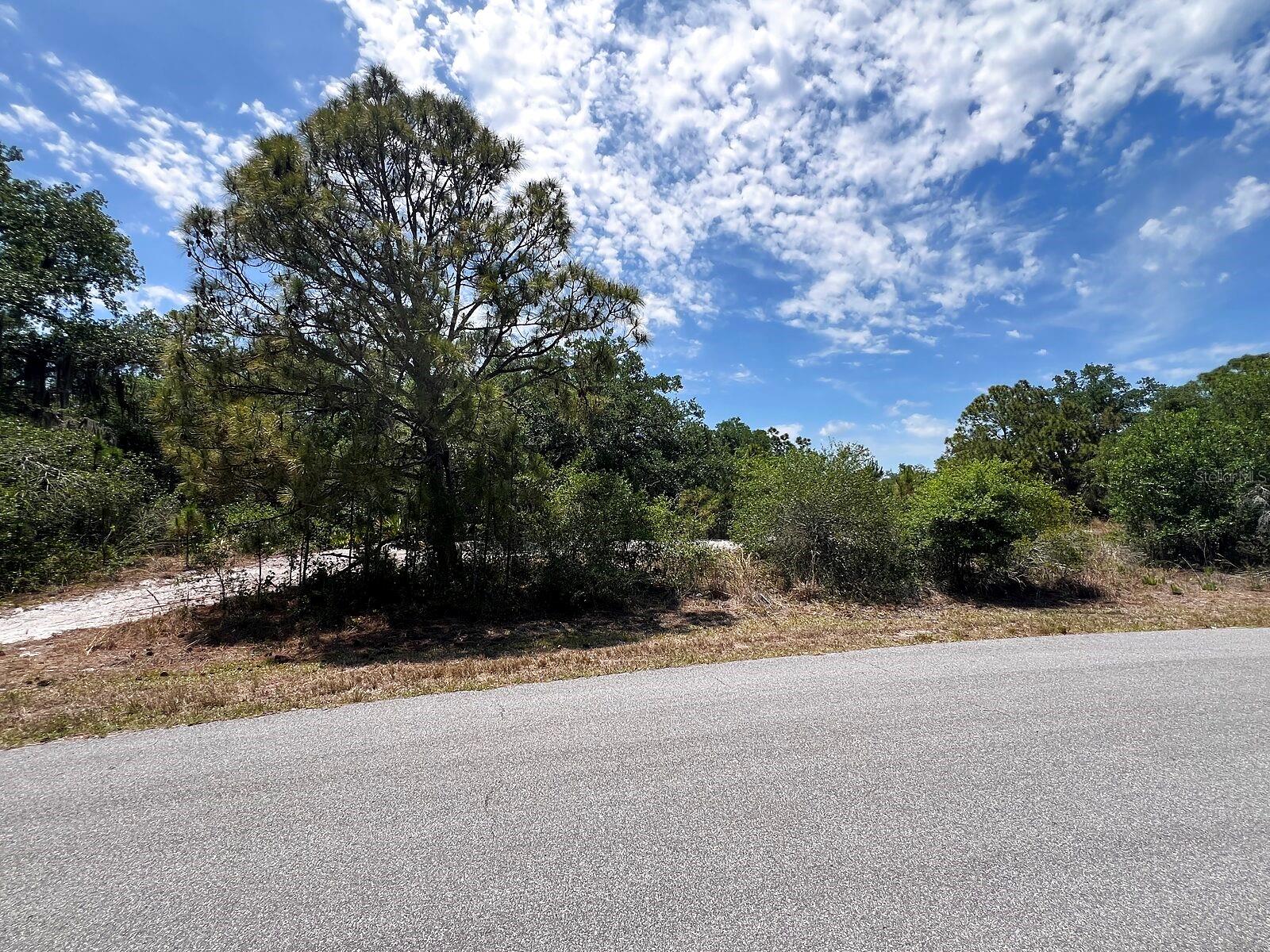HAMER TER, NORTH PORT, FL, 34291