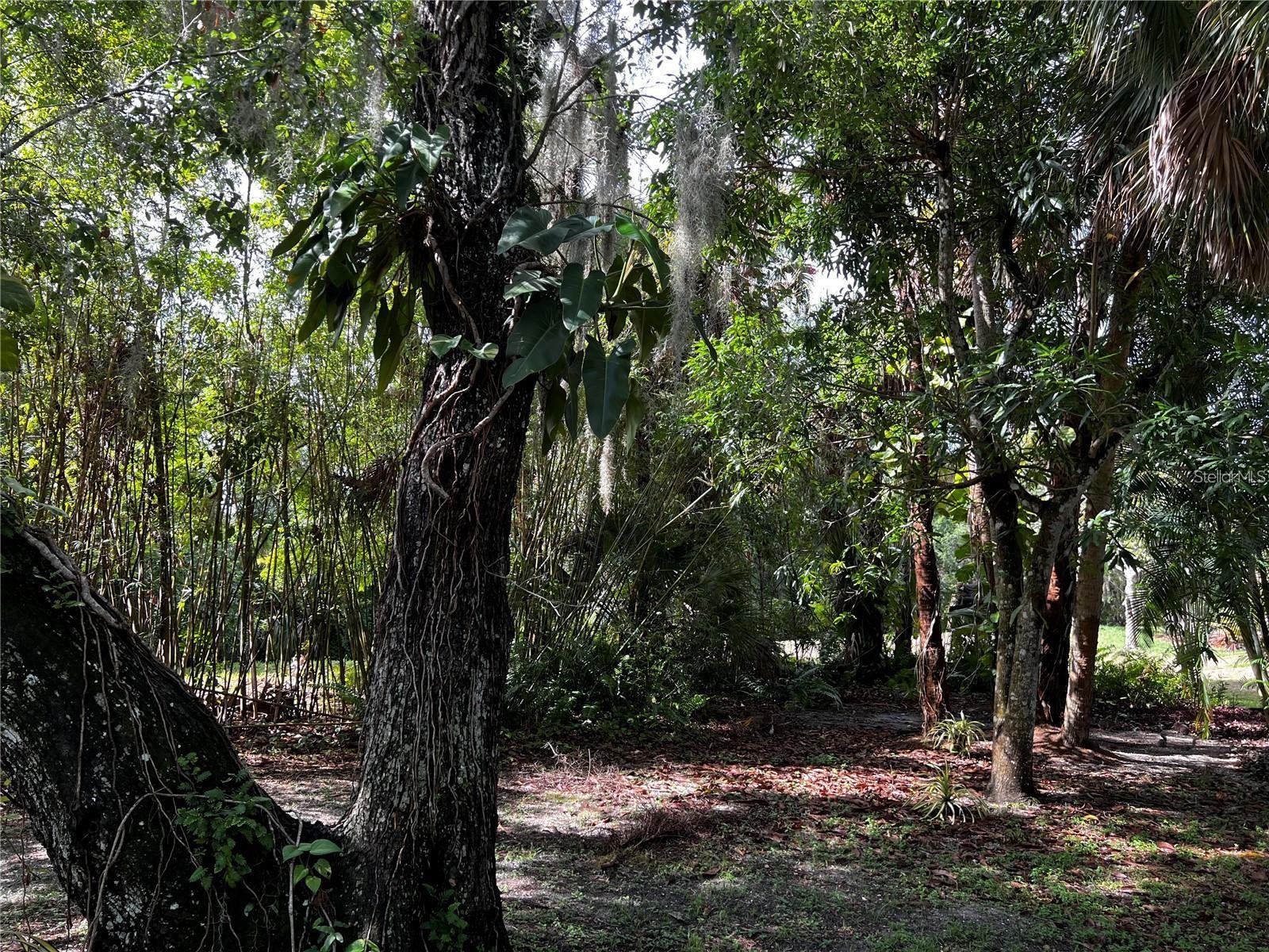 4594 TRAILS DR, SARASOTA, FL, 34232