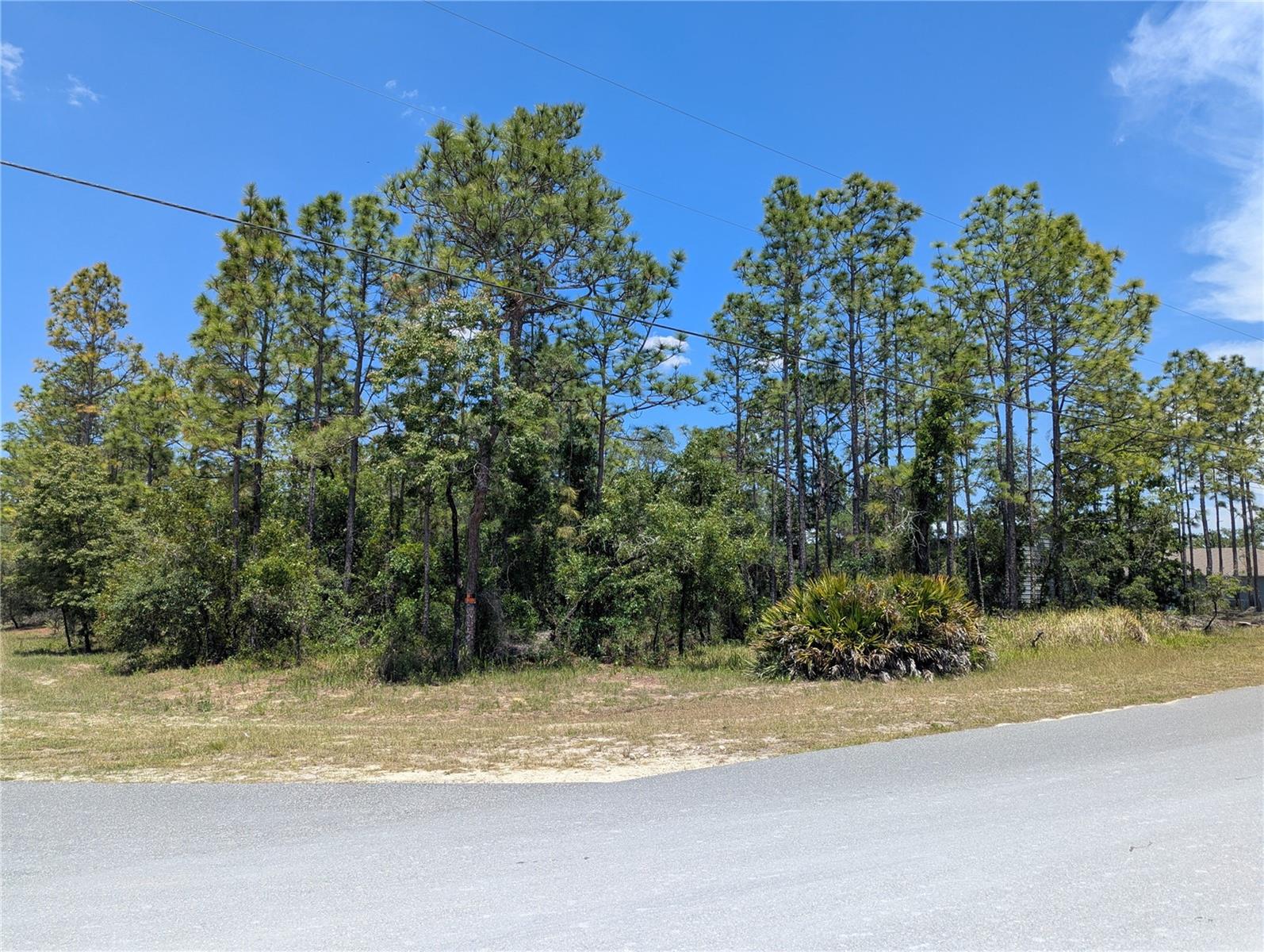 0 IBIS RD, BROOKSVILLE, FL, 34614