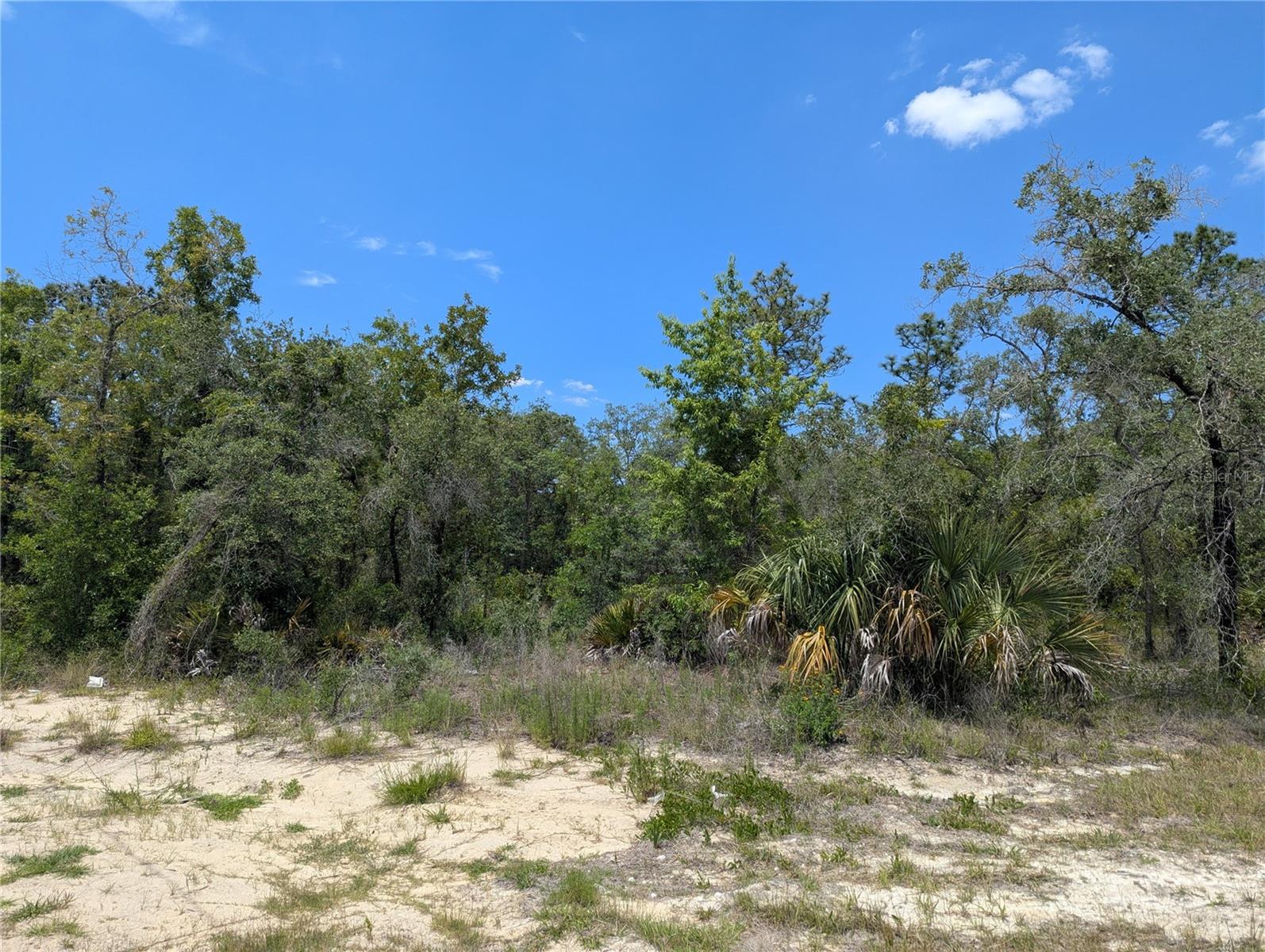 0 IBIS RD, BROOKSVILLE, FL, 34614