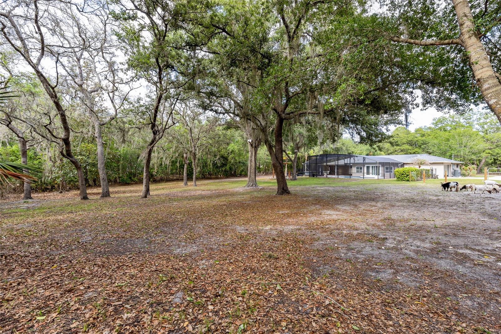 330 HAYES RD, WINTER SPRINGS, FL, 32708