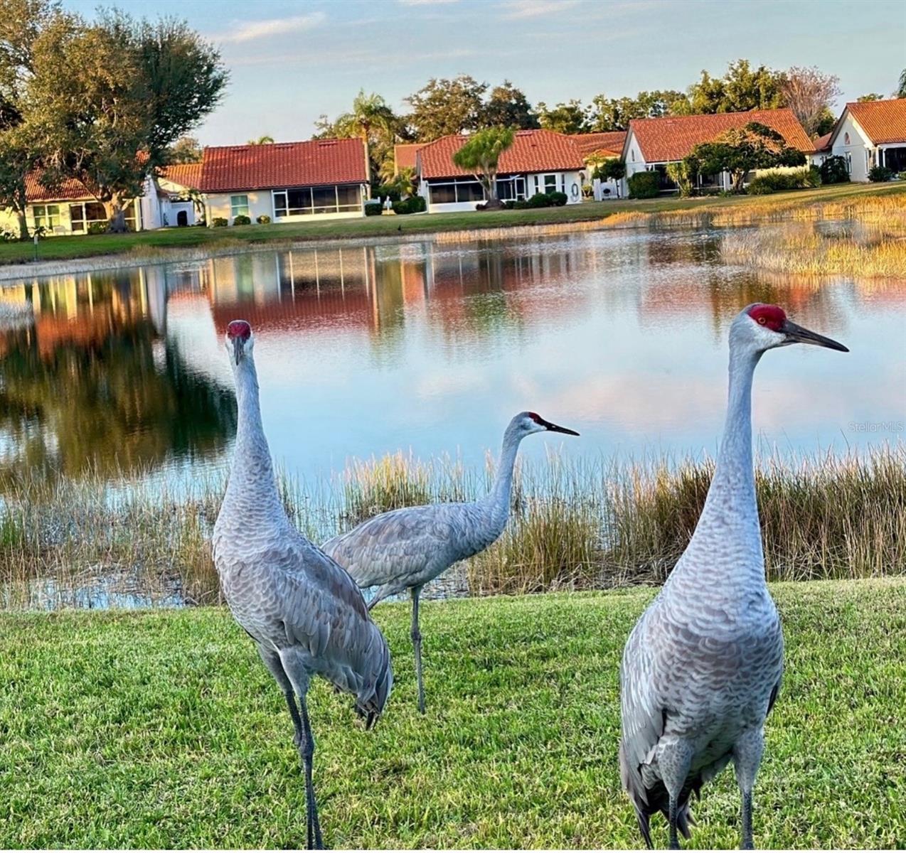 4935 PEPPERWOOD PL, VENICE, FL, 34293