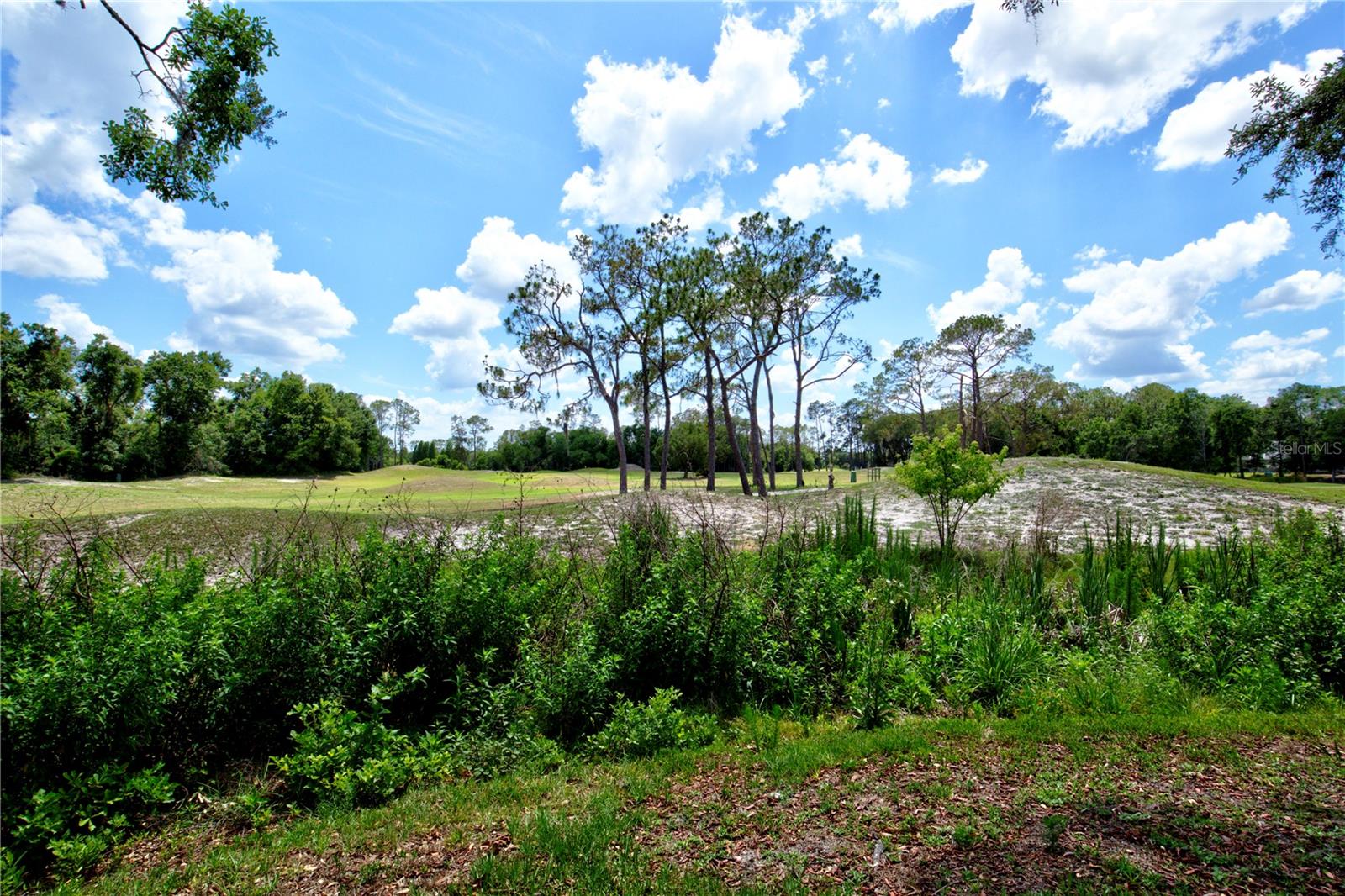 5725 WEDGEFIELD DR, ZEPHYRHILLS, FL, 33541