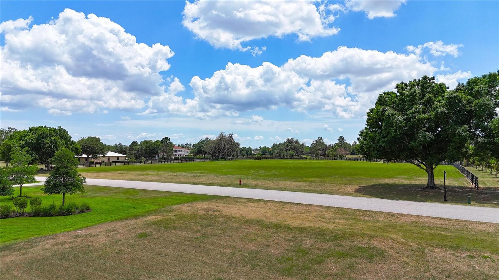 12325 STONELAKE RANCH BLVD, THONOTOSASSA, FL, 33592