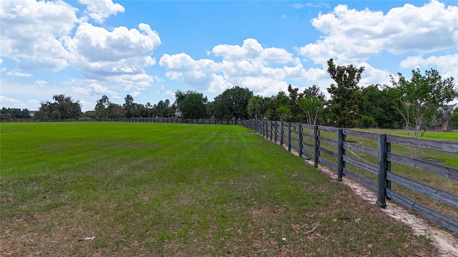 12325 STONELAKE RANCH BLVD, THONOTOSASSA, FL, 33592