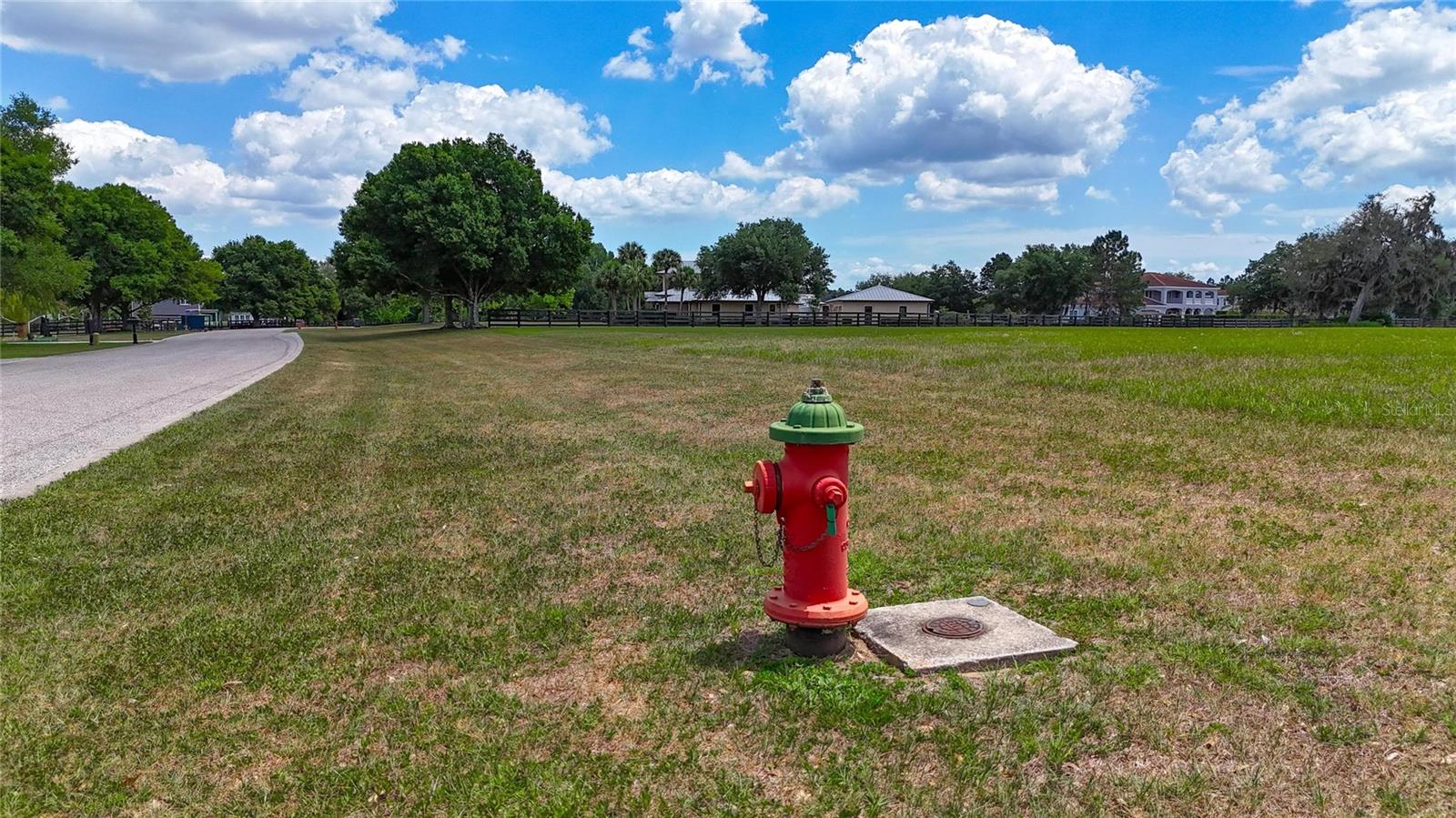 12325 STONELAKE RANCH BLVD, THONOTOSASSA, FL, 33592