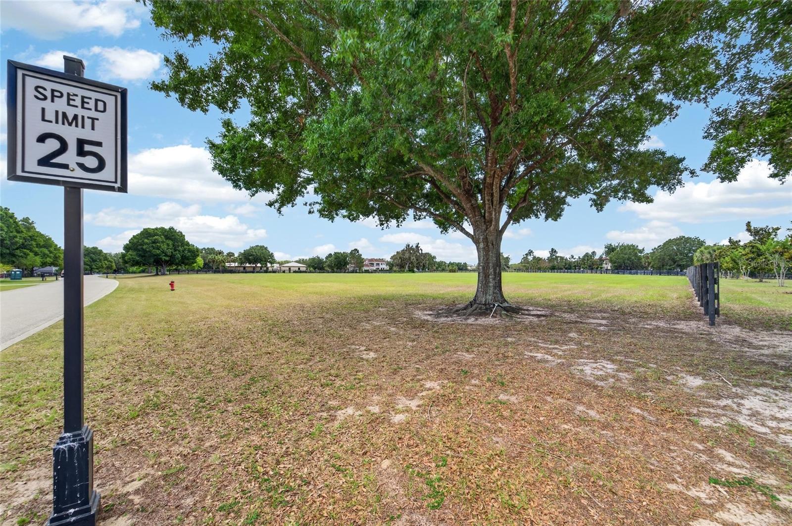 12325 STONELAKE RANCH BLVD, THONOTOSASSA, FL, 33592