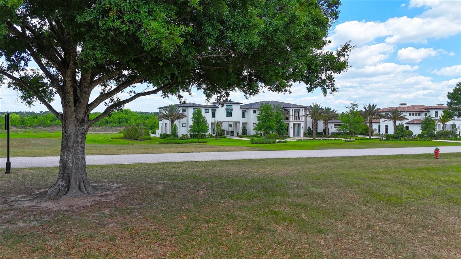 12325 STONELAKE RANCH BLVD, THONOTOSASSA, FL, 33592