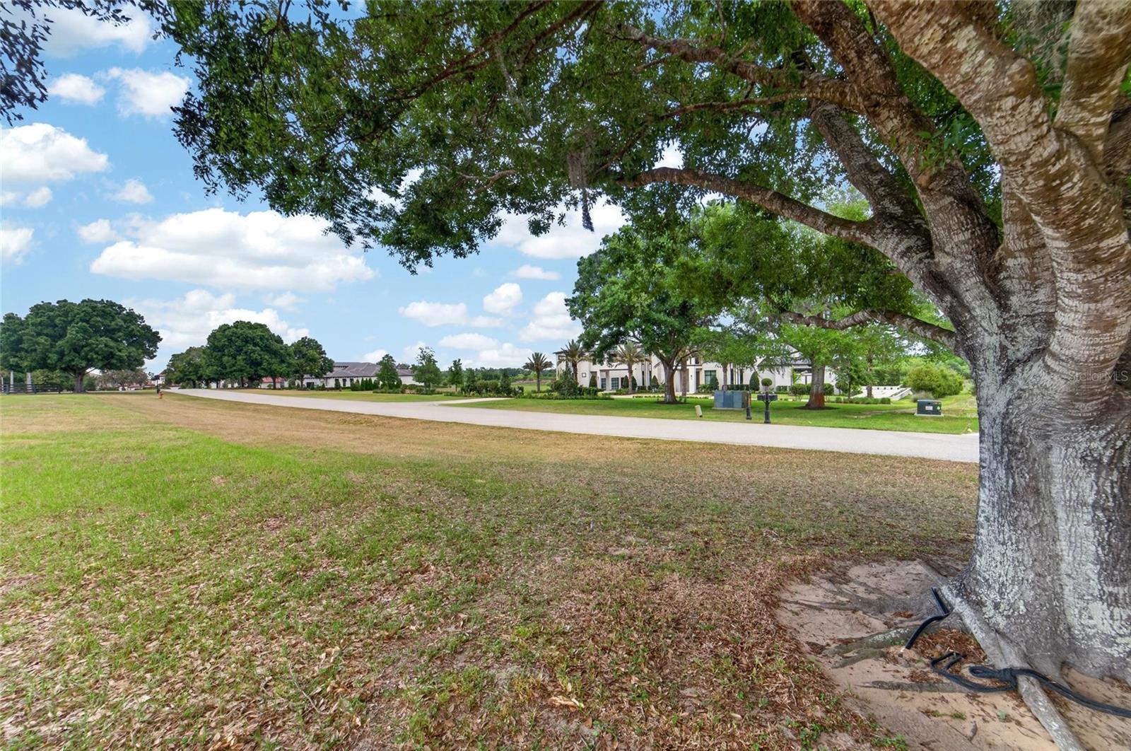 12325 STONELAKE RANCH BLVD, THONOTOSASSA, FL, 33592