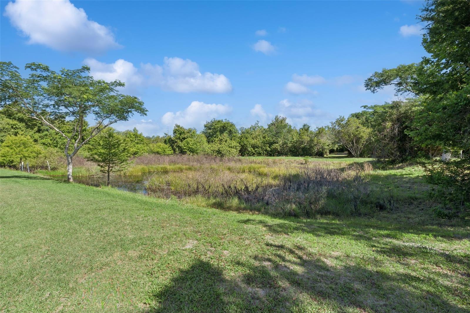 1235 HACKNEY RD, ST CLOUD, FL, 34771
