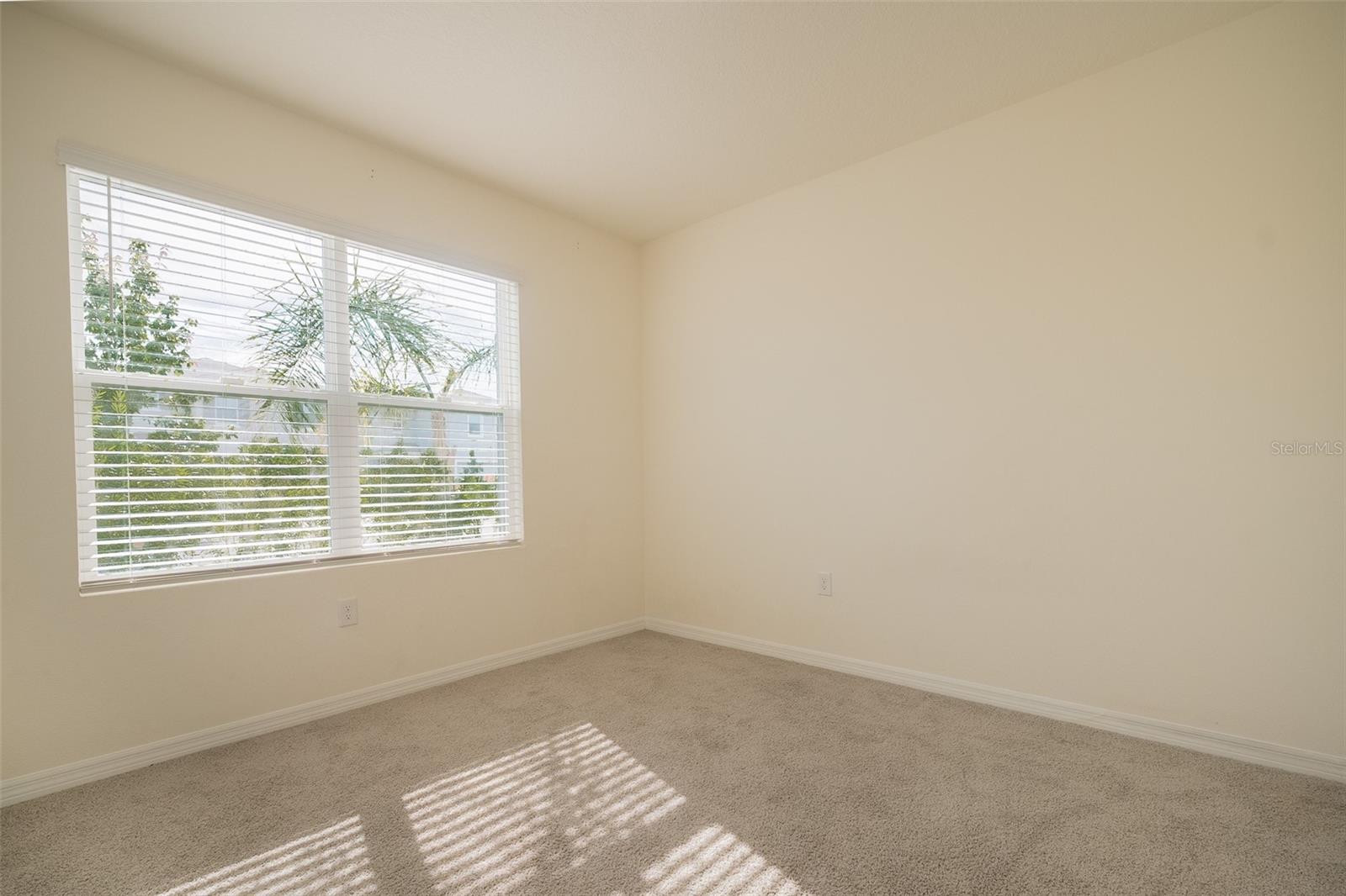 8318 CLAW GLADES LOOP, WESLEY CHAPEL, FL, 33545