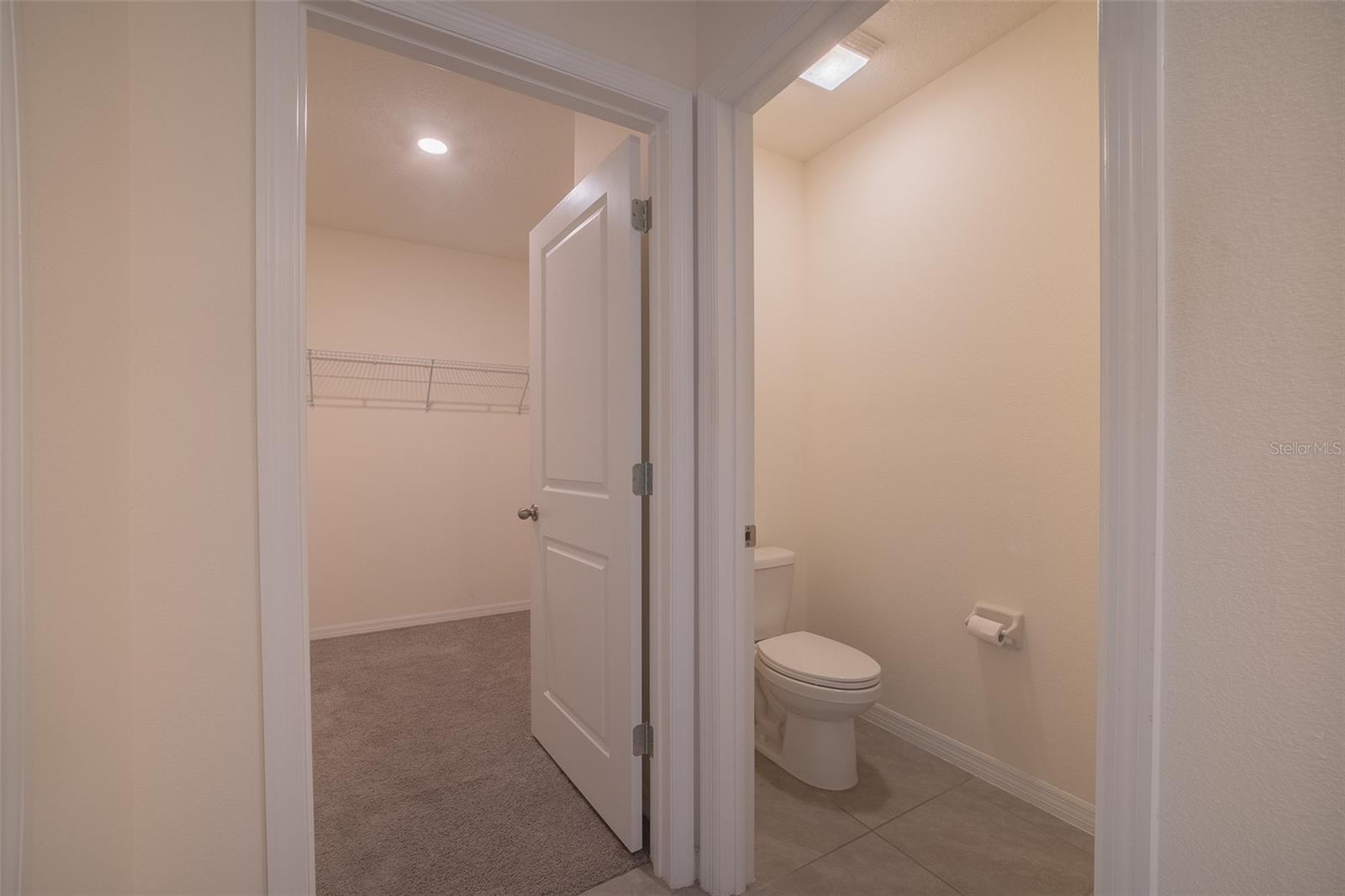 8318 CLAW GLADES LOOP, WESLEY CHAPEL, FL, 33545