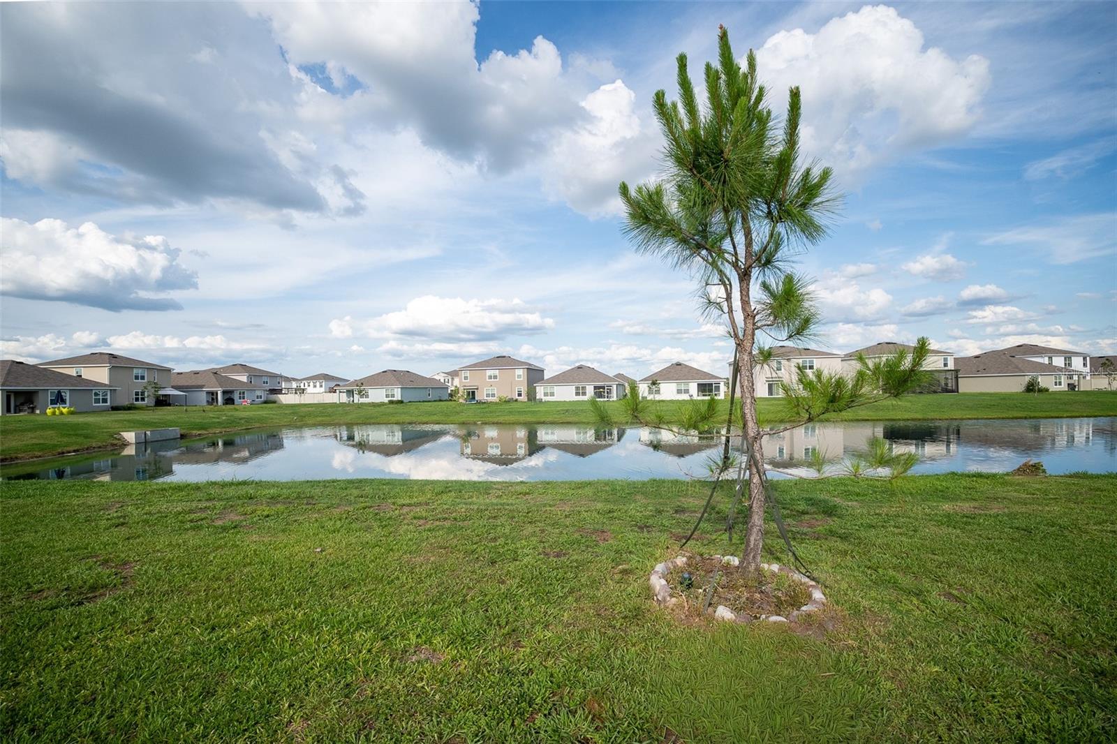 8318 CLAW GLADES LOOP, WESLEY CHAPEL, FL, 33545