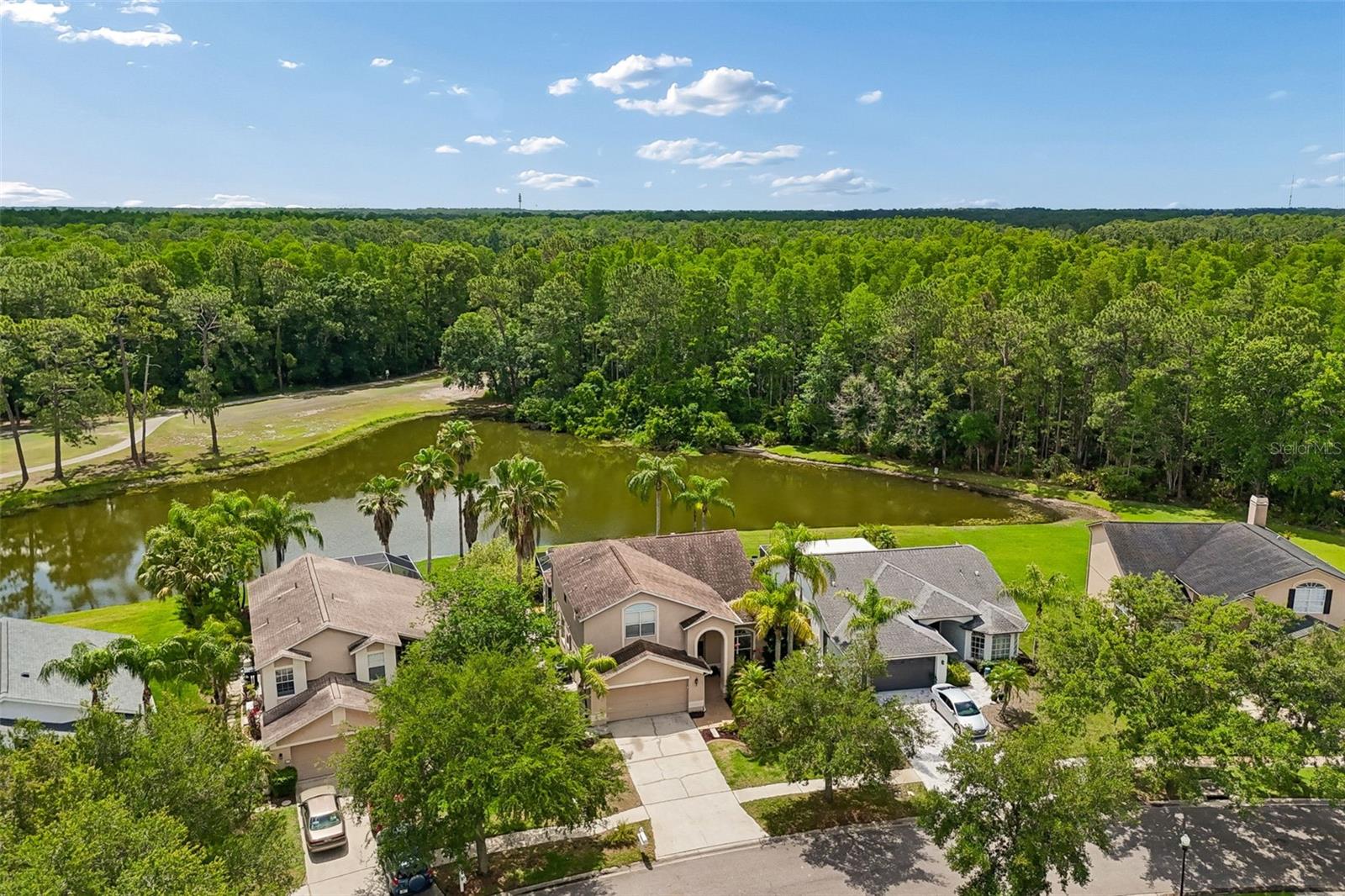 16026 SHINNECOCK DR, ODESSA, FL, 33556