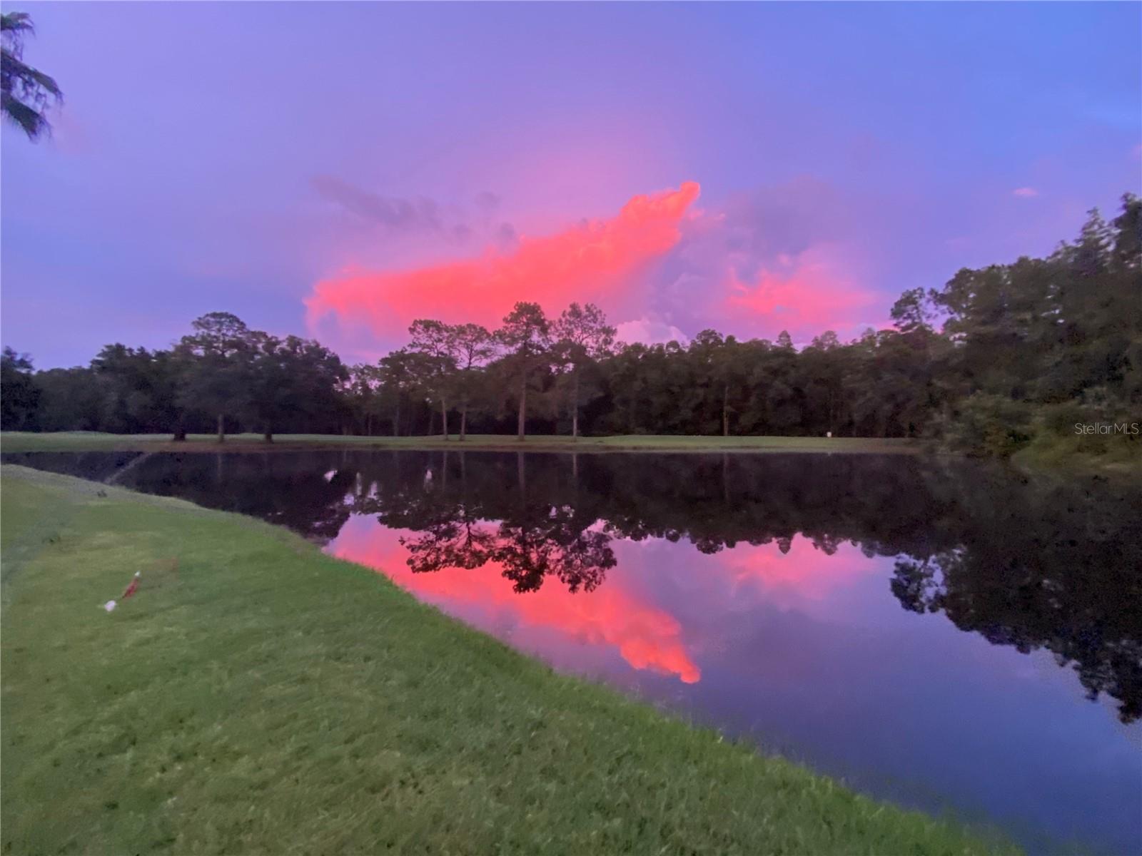 16026 SHINNECOCK DR, ODESSA, FL, 33556
