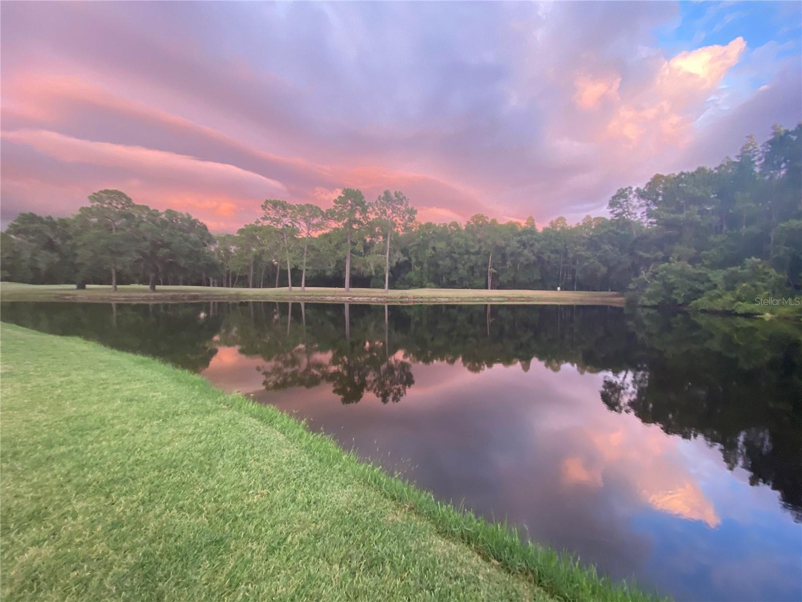 16026 SHINNECOCK DR, ODESSA, FL, 33556