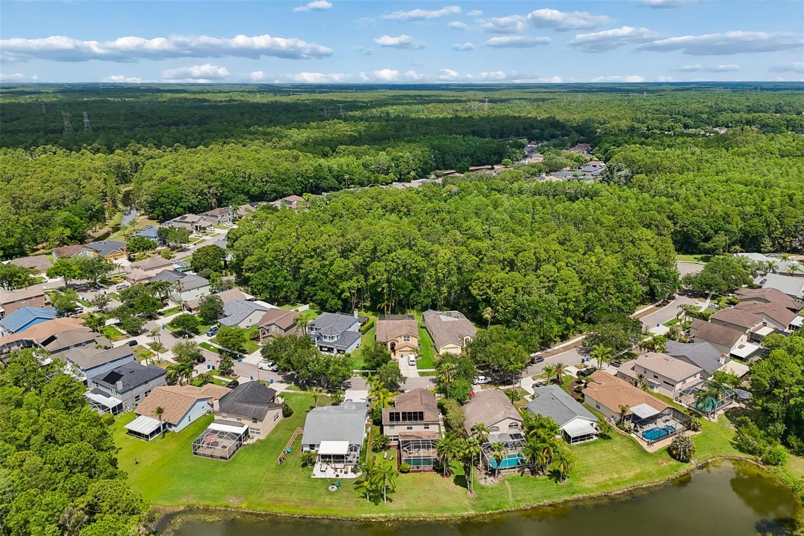 16026 SHINNECOCK DR, ODESSA, FL, 33556