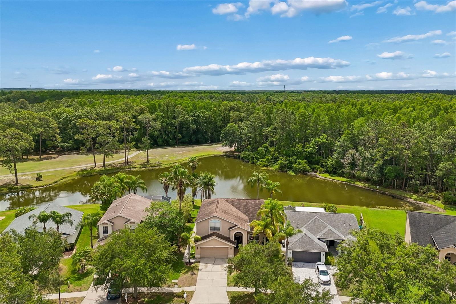 16026 SHINNECOCK DR, ODESSA, FL, 33556