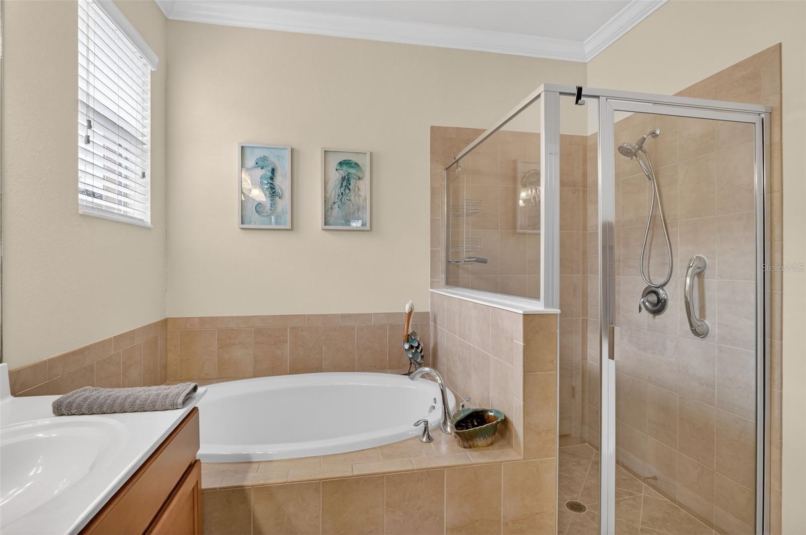 3535 DANDOLO CIR, CAPE CORAL, FL, 33909