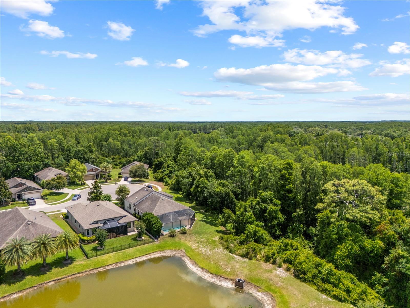 8538 MAY PORT CT, LAND O LAKES, FL, 34638