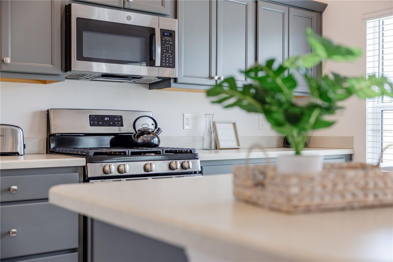 805 HUBBARD LOOP, THE VILLAGES, FL, 32163