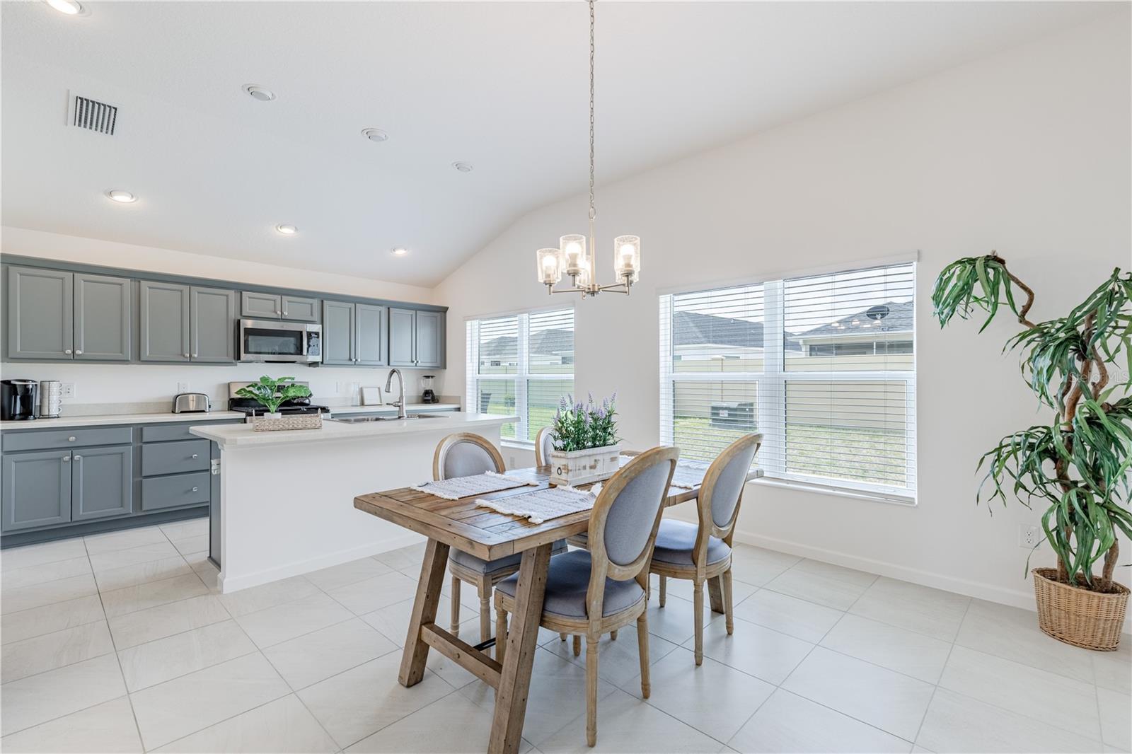 805 HUBBARD LOOP, THE VILLAGES, FL, 32163