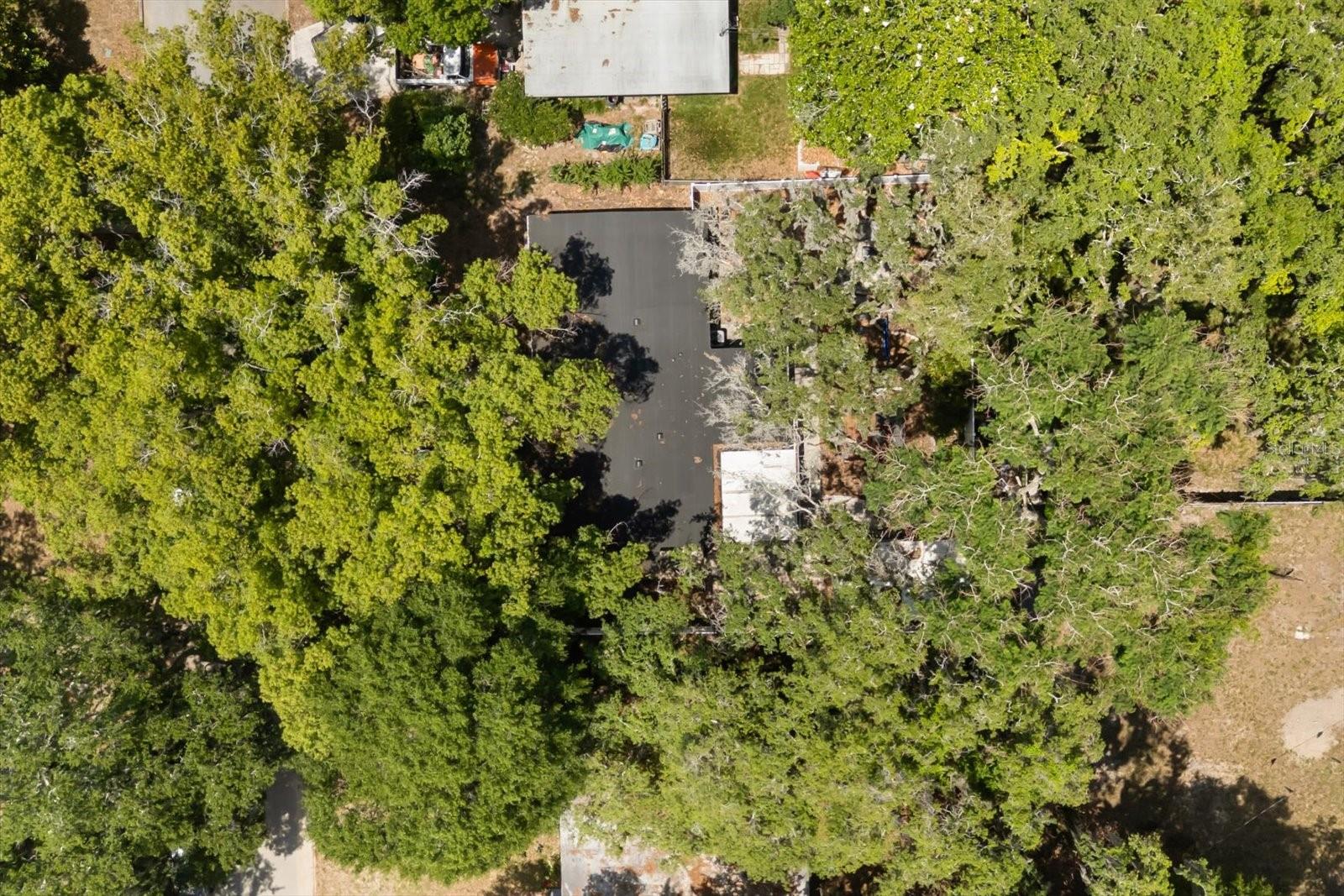 107 E LAUREN CT, CASSELBERRY, FL, 32730
