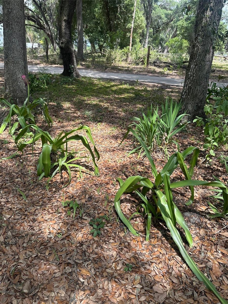 9068 SE 12TH DR, WEBSTER, FL, 33597
