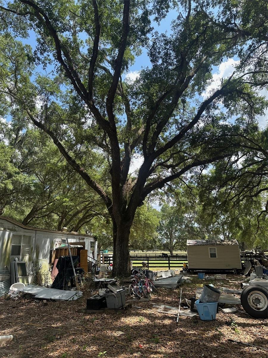 9068 SE 12TH DR, WEBSTER, FL, 33597