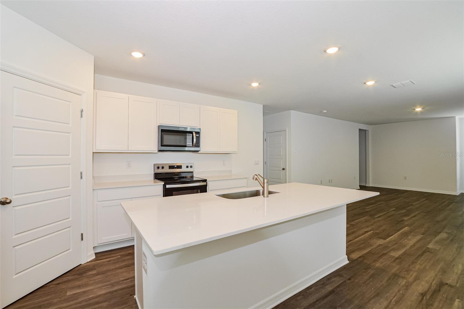 3437 NETTLE LOOP, TAVARES, FL, 32778