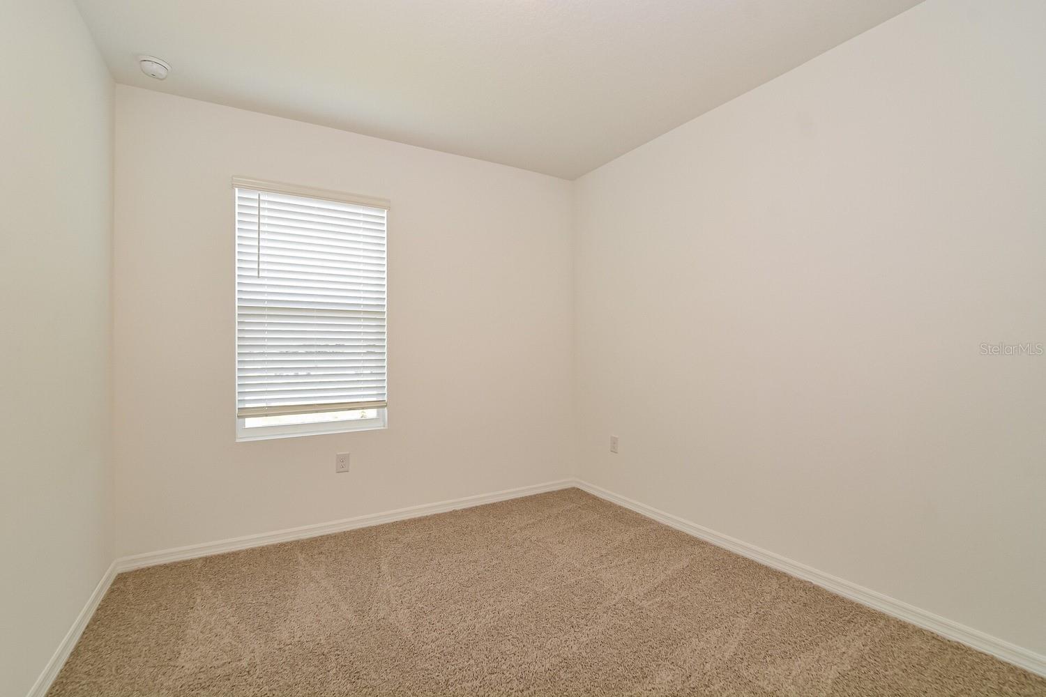 3437 NETTLE LOOP, TAVARES, FL, 32778