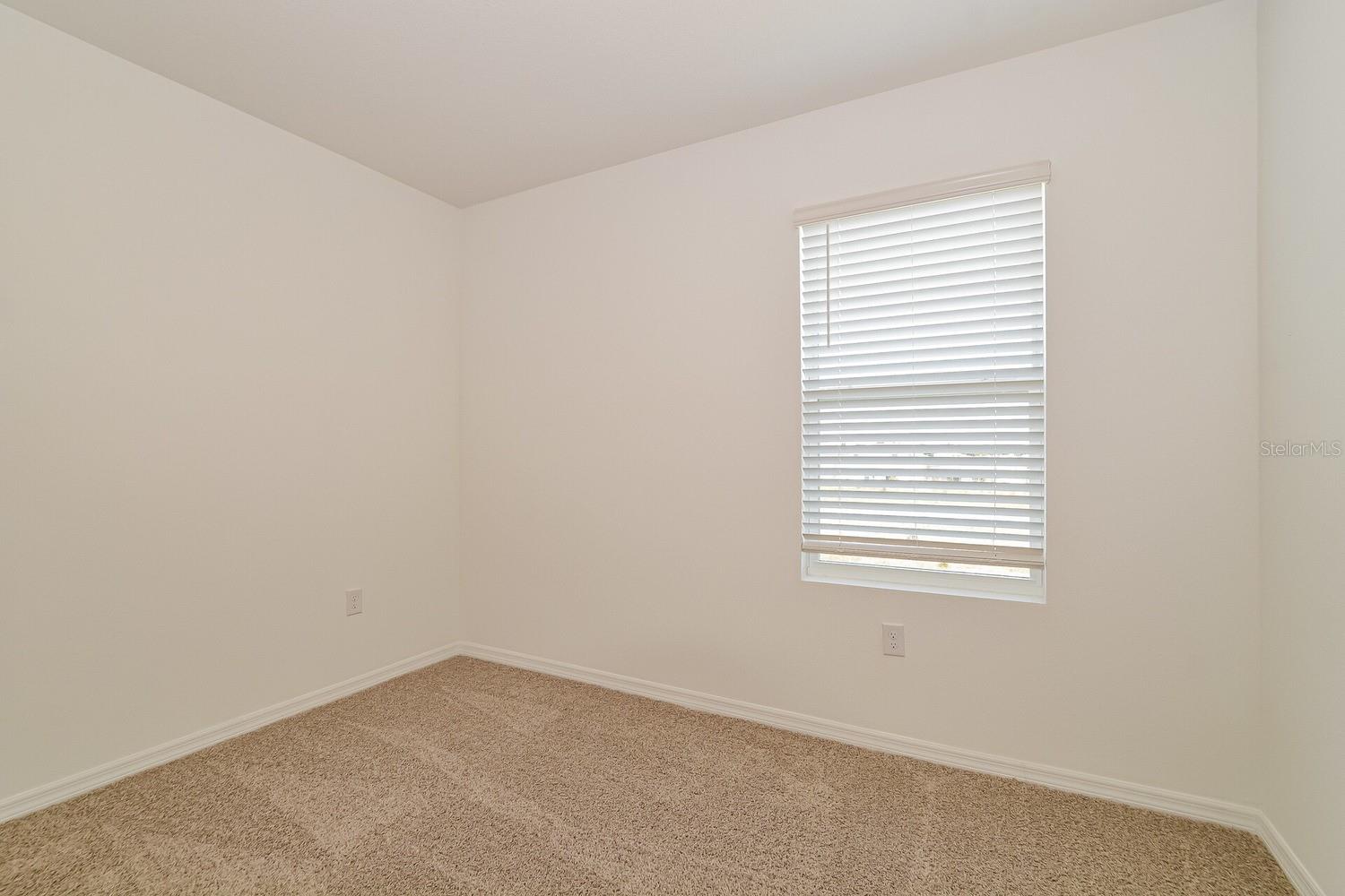 3437 NETTLE LOOP, TAVARES, FL, 32778