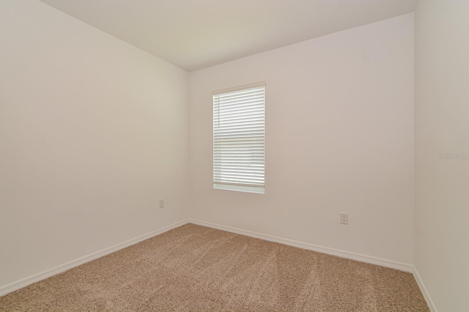 3437 NETTLE LOOP, TAVARES, FL, 32778