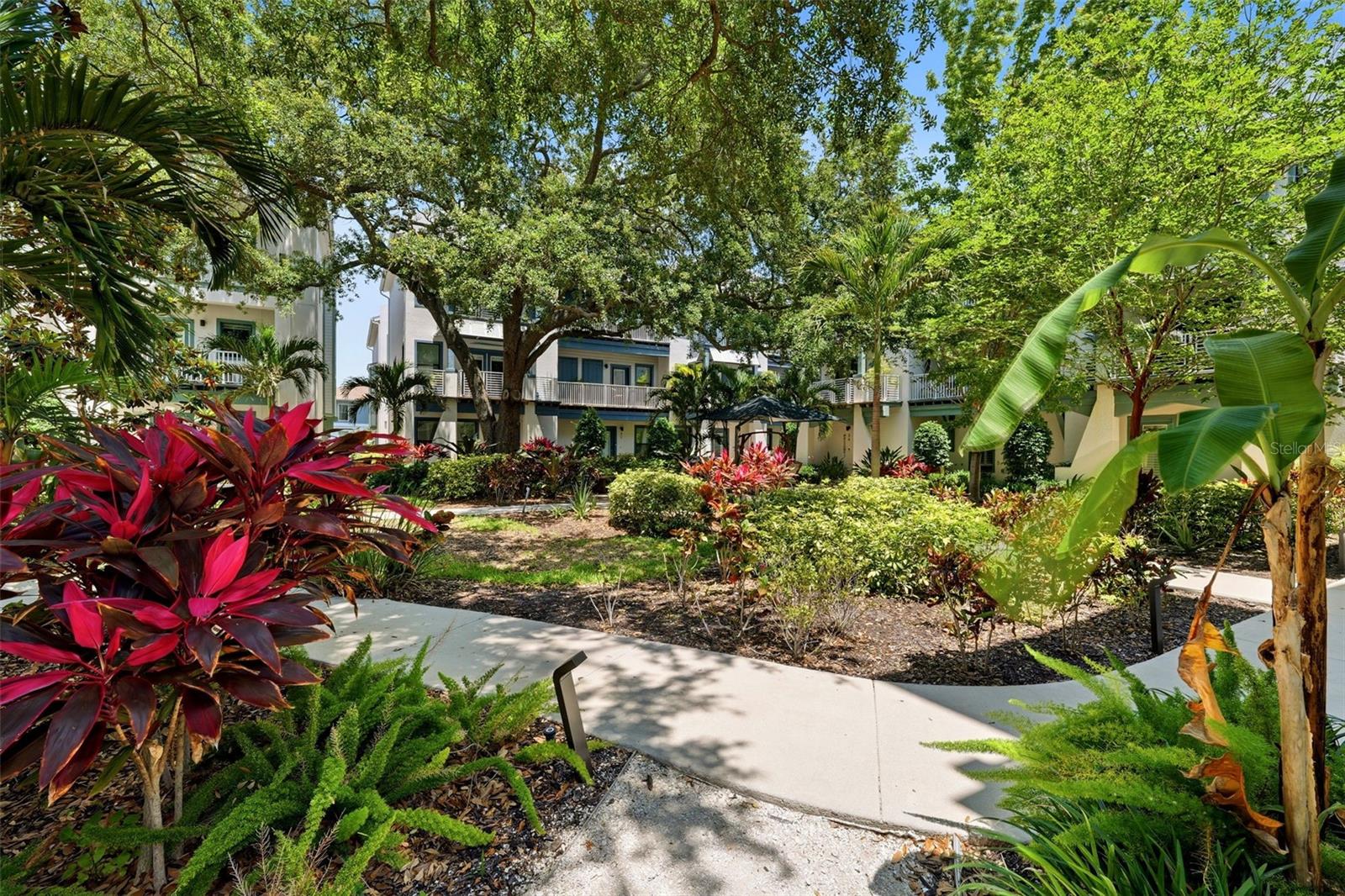 946 HIGHLAND AVE #16, DUNEDIN, FL, 34698