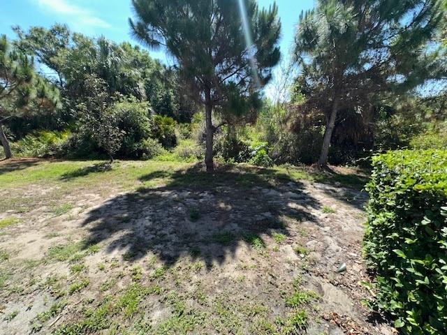 8906 INDIGO TRAIL LOOP, RIVERVIEW, FL, 33578