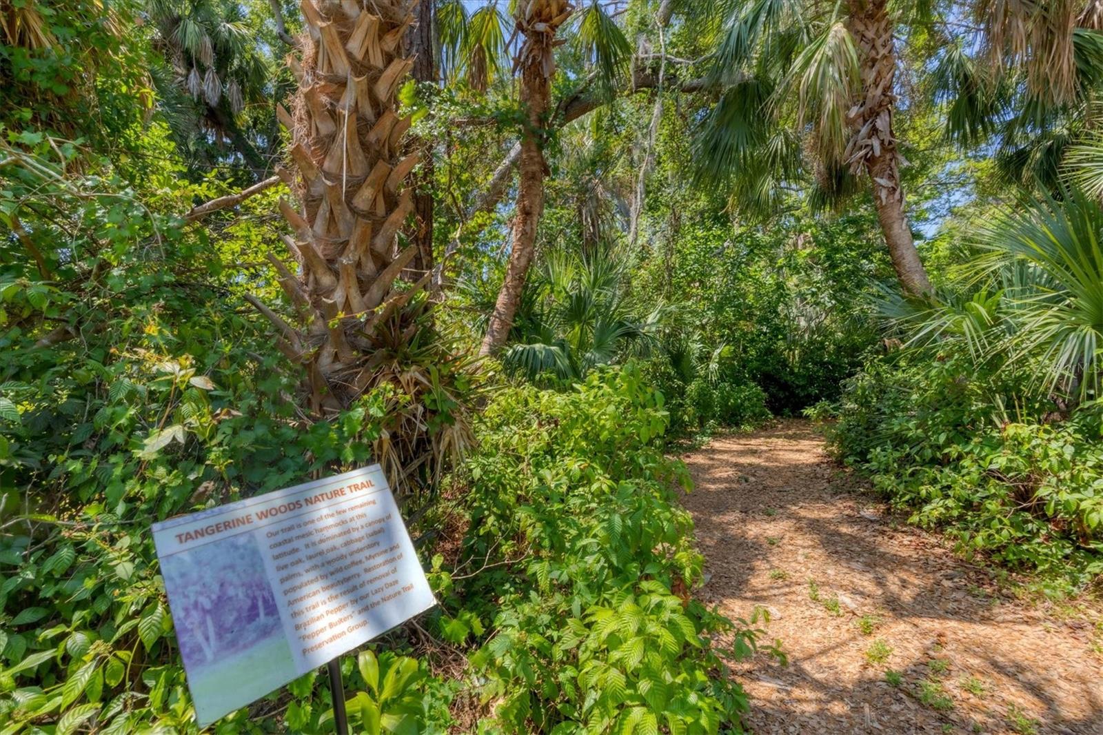 803 TANGERINE WOODS BLVD, ENGLEWOOD, FL, 34223
