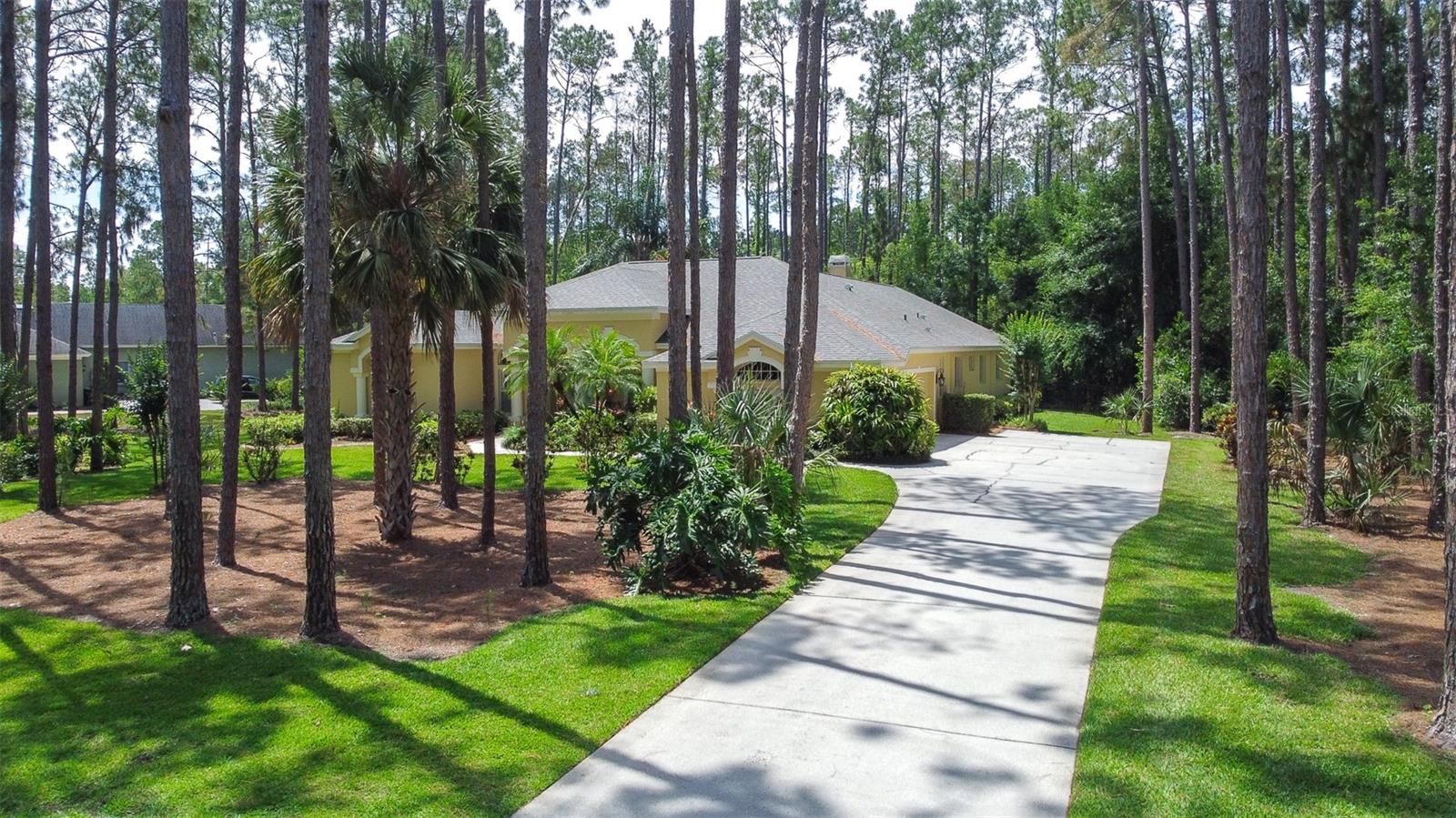 313 PINE BLUFF DR, LUTZ, FL, 33549