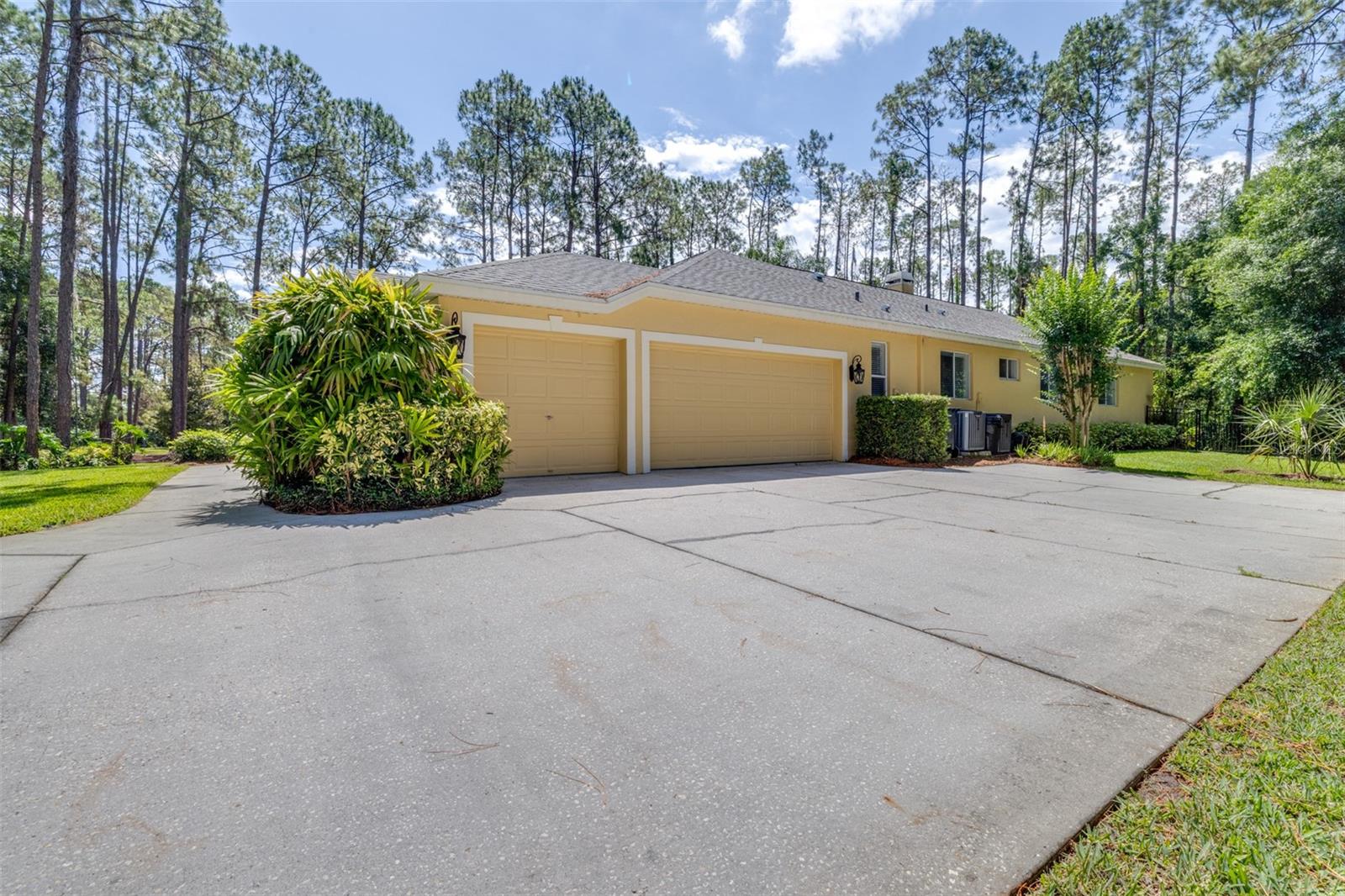 313 PINE BLUFF DR, LUTZ, FL, 33549