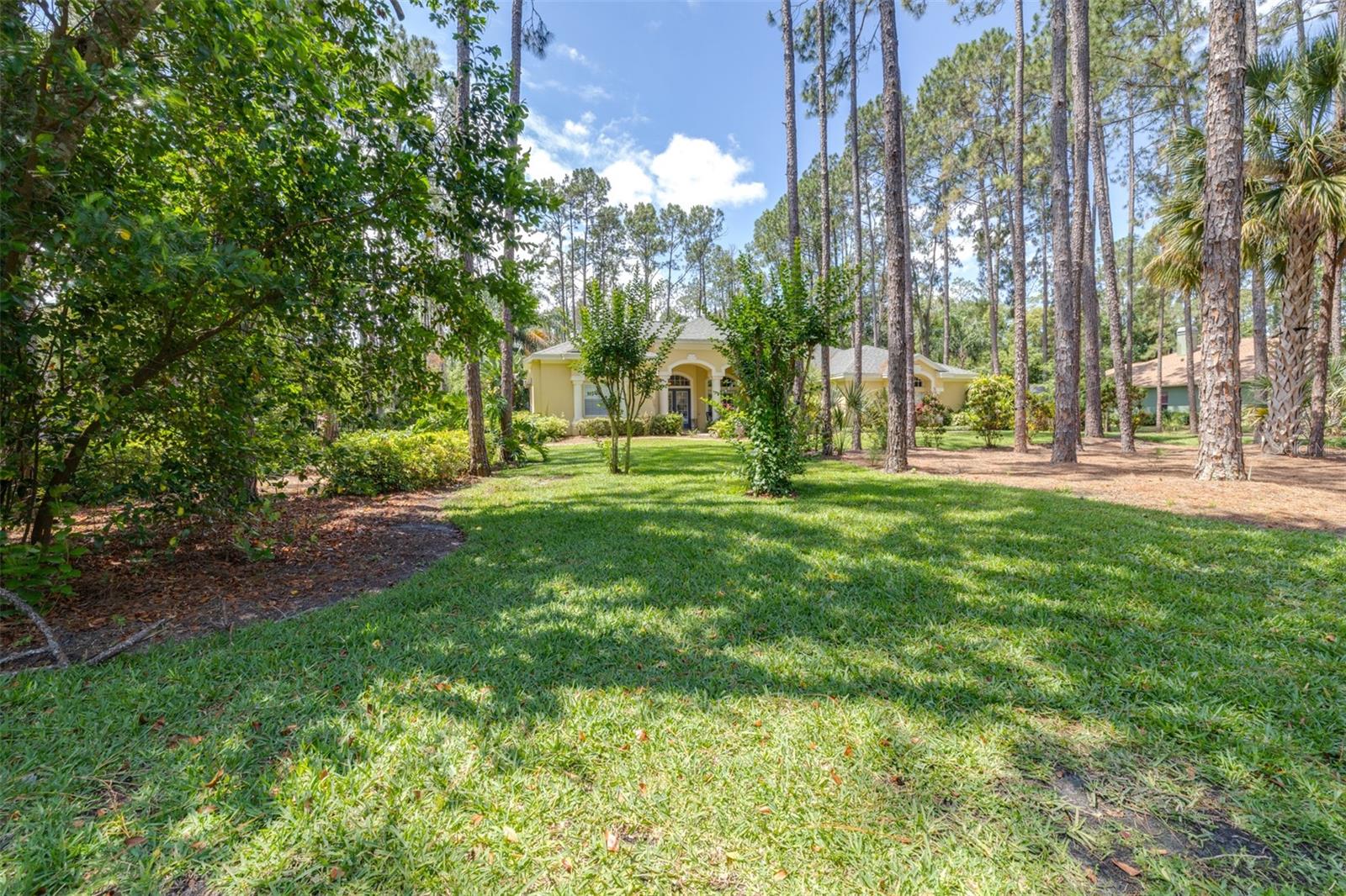 313 PINE BLUFF DR, LUTZ, FL, 33549
