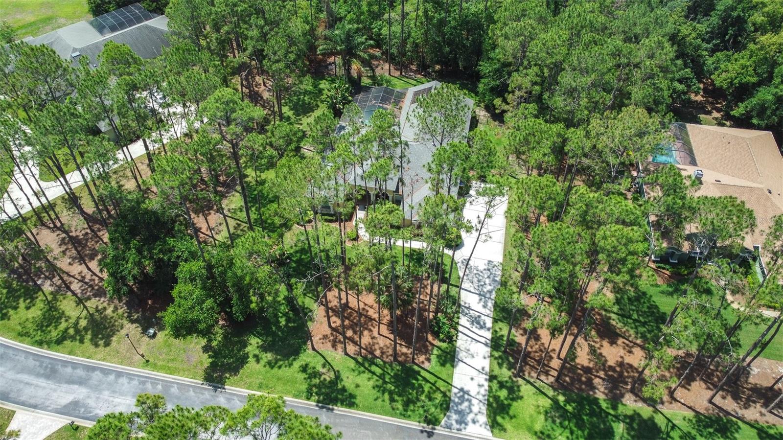 313 PINE BLUFF DR, LUTZ, FL, 33549