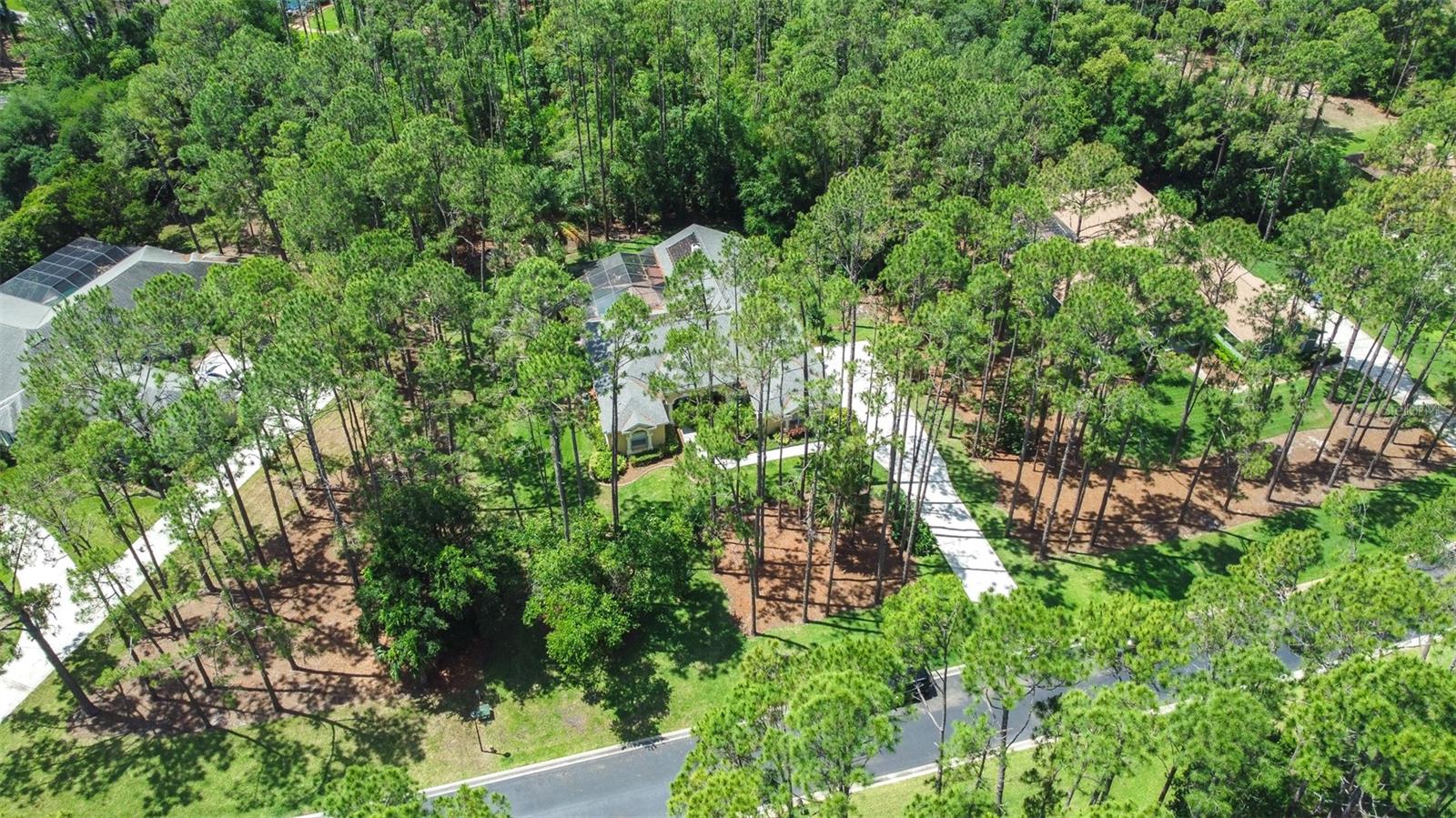 313 PINE BLUFF DR, LUTZ, FL, 33549