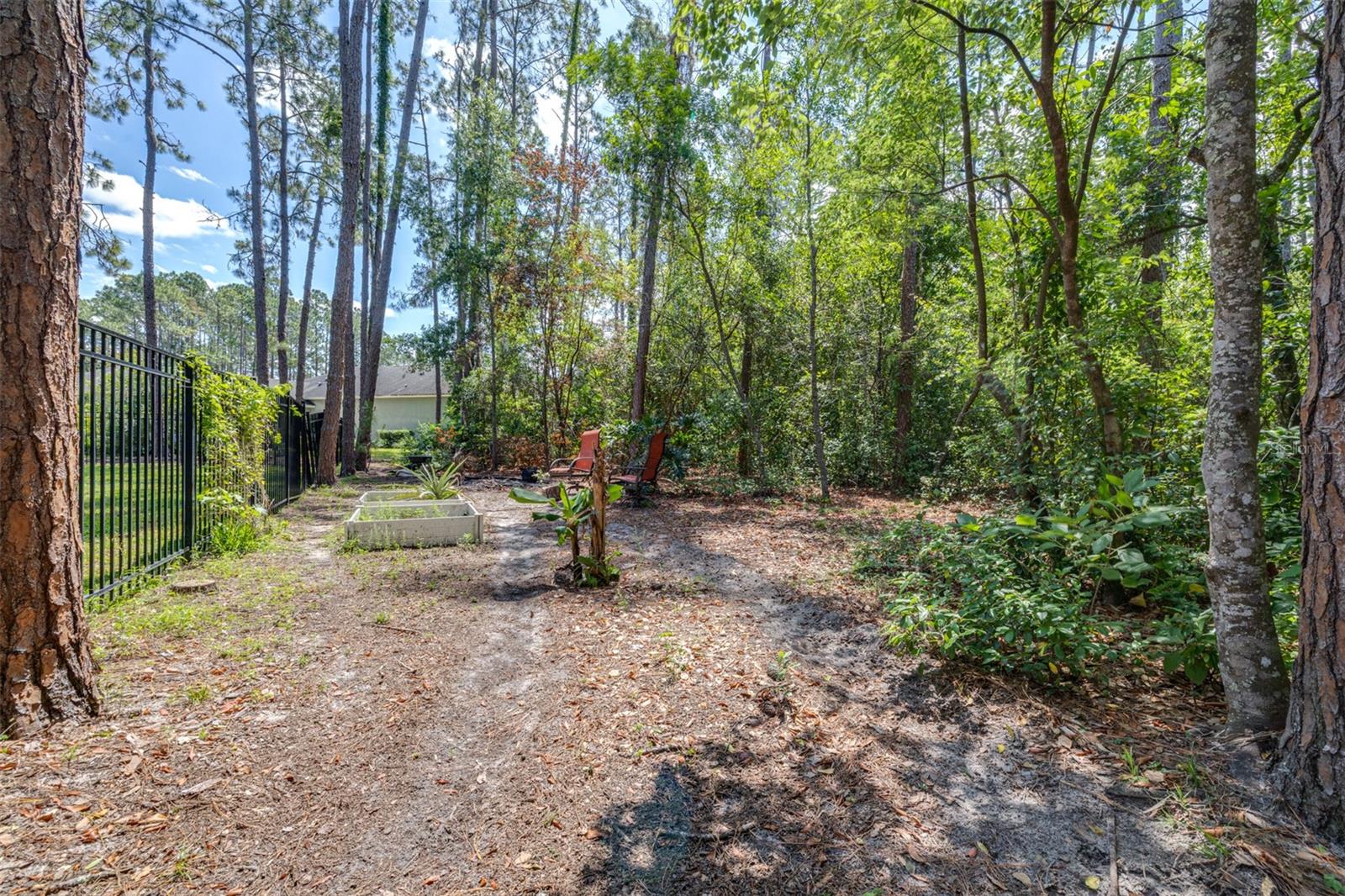313 PINE BLUFF DR, LUTZ, FL, 33549