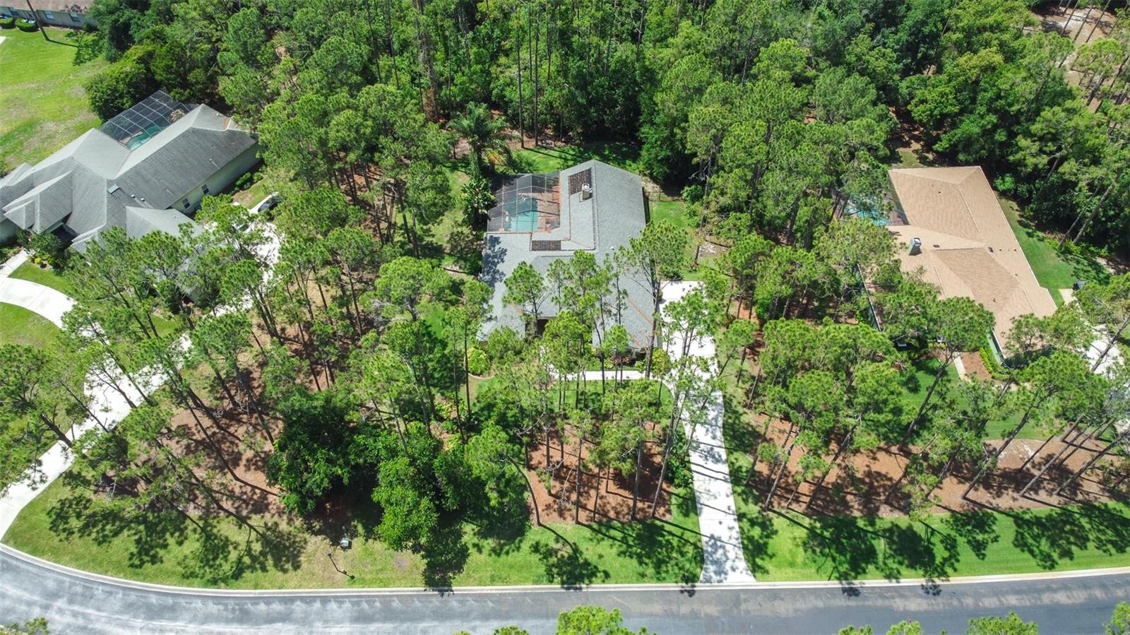 313 PINE BLUFF DR, LUTZ, FL, 33549